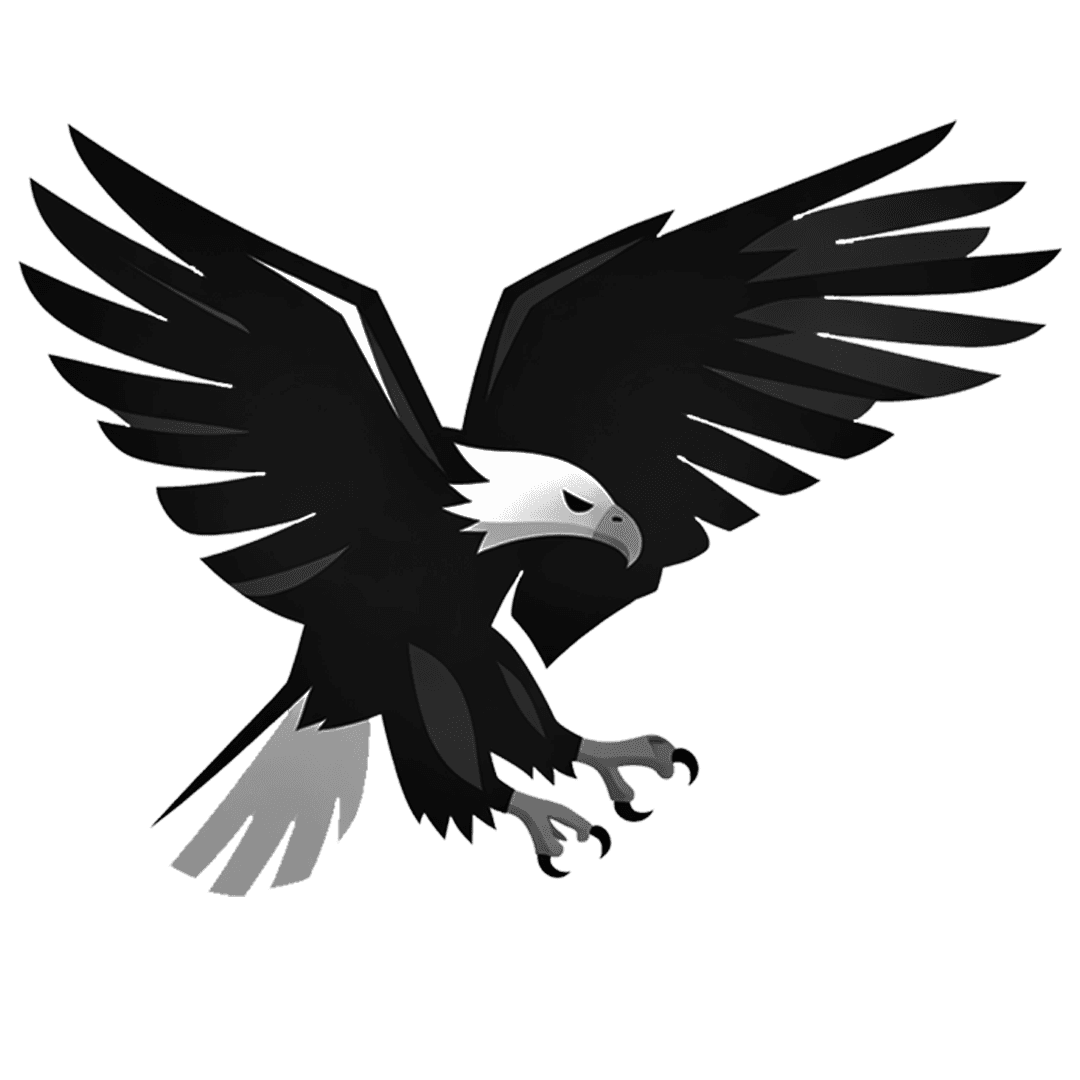 Eagle Eye Design logo — architectural drafting services Delta Colorado