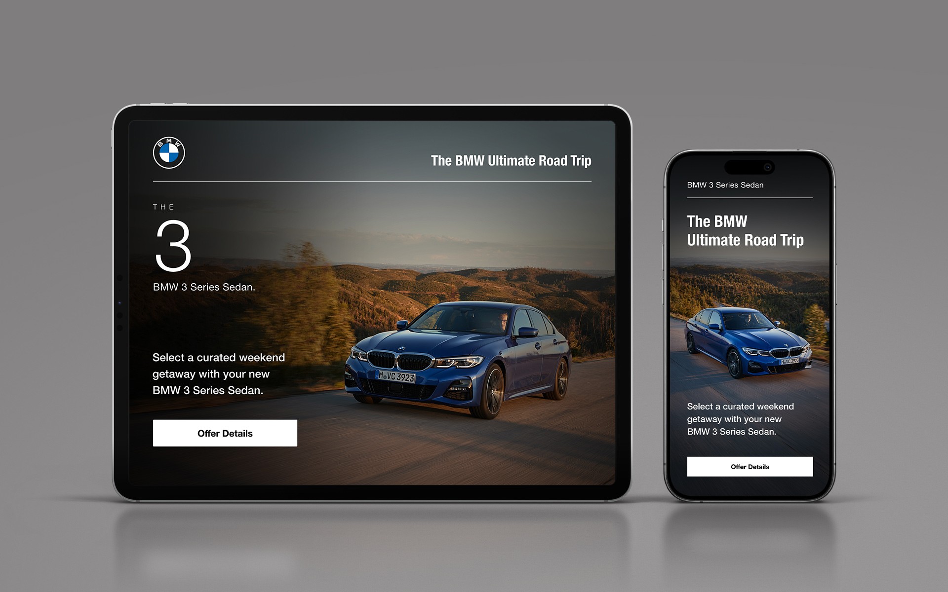 Large Project Gallery Image #2