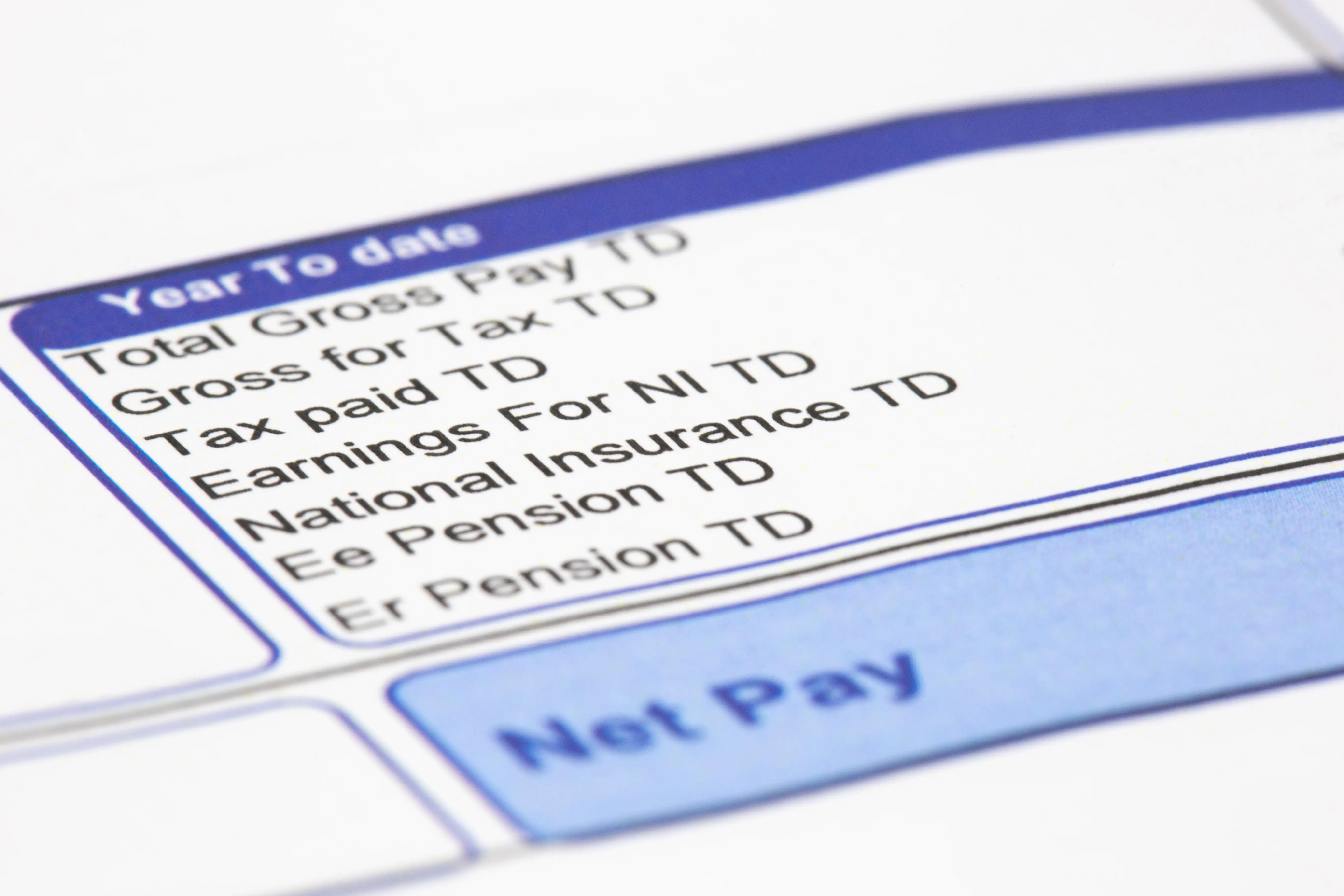 Itemized pay stub showing gross earnings and net pay, illustrating employer wage statement penalty violations under California Labor Code section 226