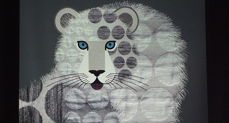 spotted white furry animal