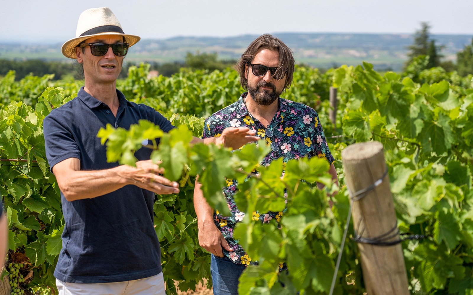 Men exploring vineyards in Chateauneuf du Pape, Avignon, France.
