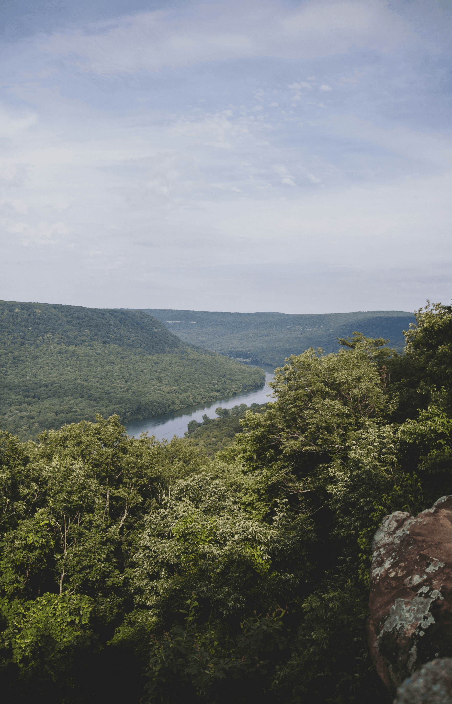 Photo by <a href="https://unsplash.com/@zeketucker?utm_content=creditCopyText&utm_medium=referral&utm_source=unsplash">Zeke Tucker</a> on <a href="https://unsplash.com/photos/green-tree-lot-near-river-during-daytime-Qnn9IEgjloI?utm_content=creditCopyText&utm_medium=referral&utm_source=unsplash">Unsplash</a>       