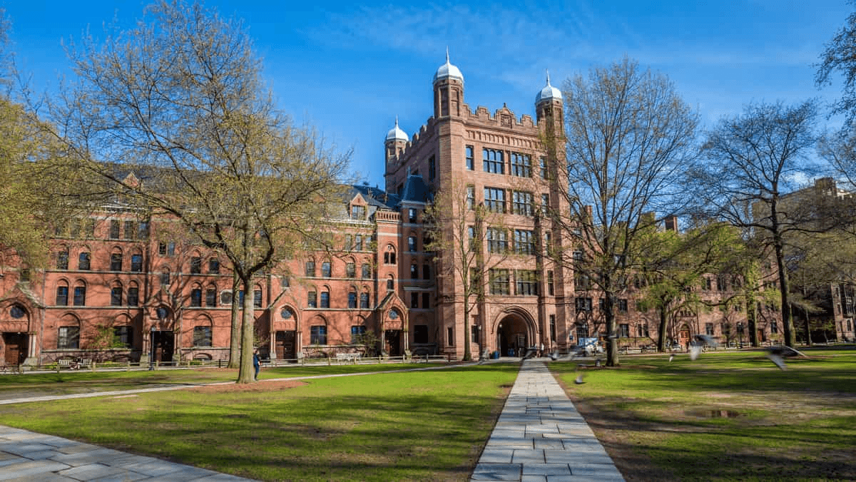 High school student reviewing Yale University admissions requirements and research portfolio