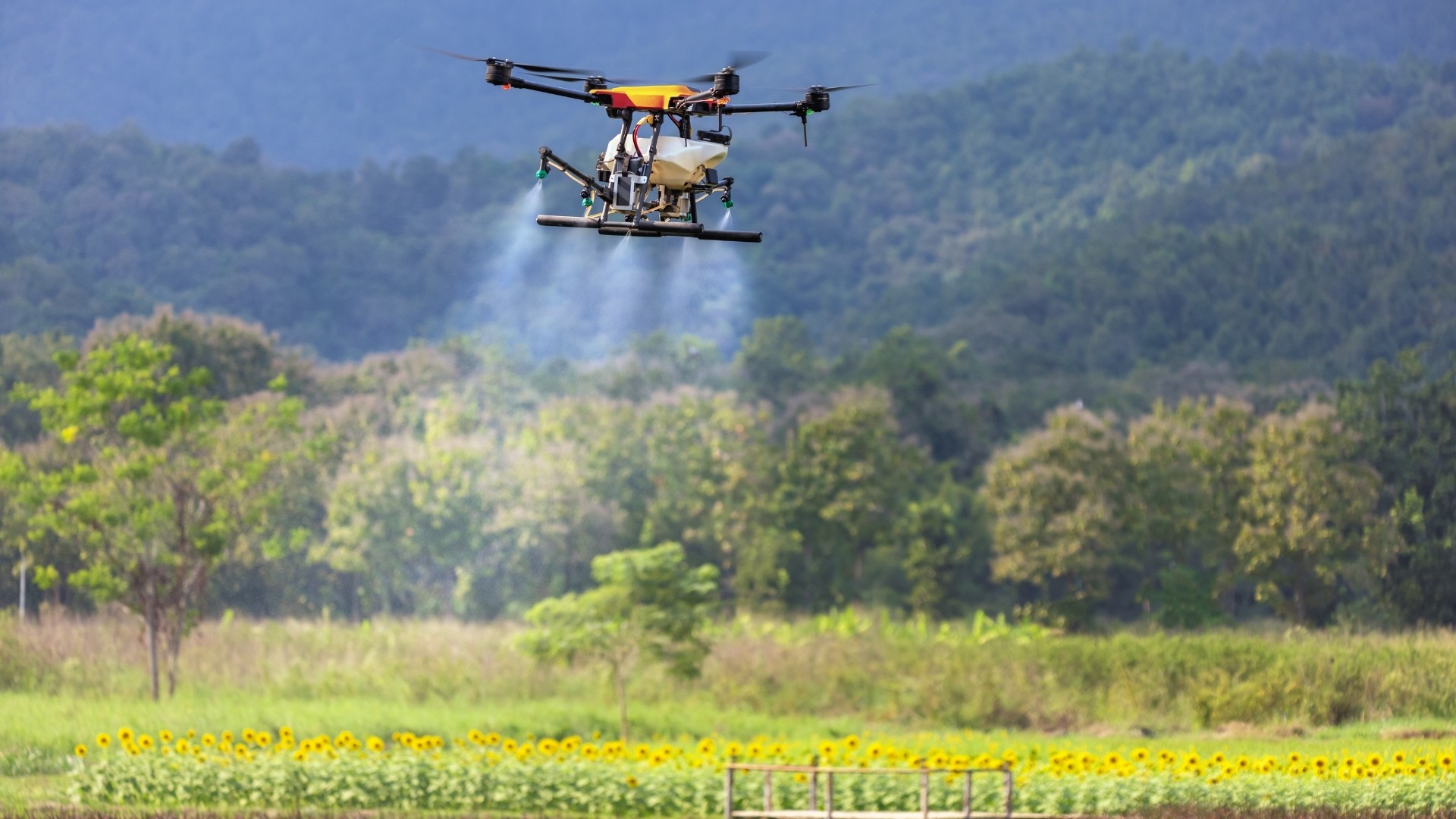 Why Use Drones In Agriculture