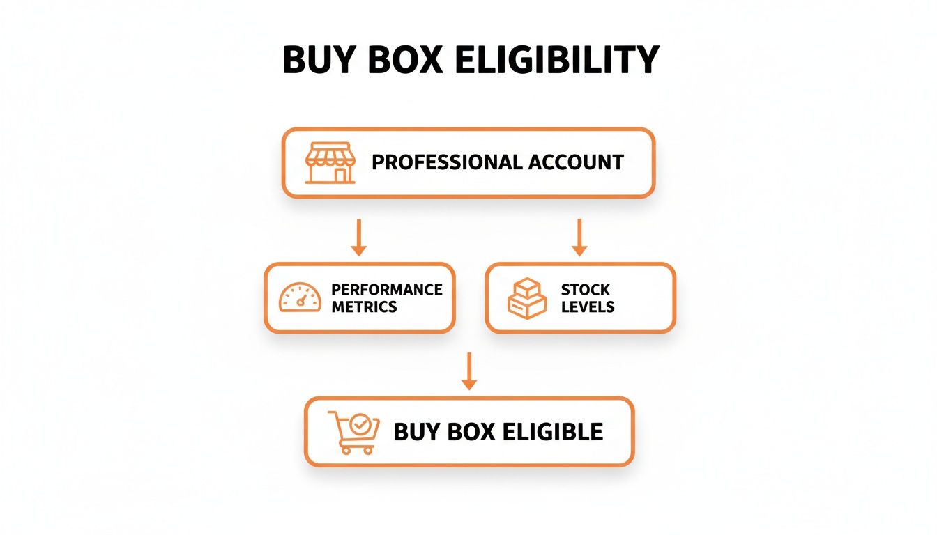 Flowchart detailing Buy Box eligibility requirements: professional account, performance metrics, and stock levels.