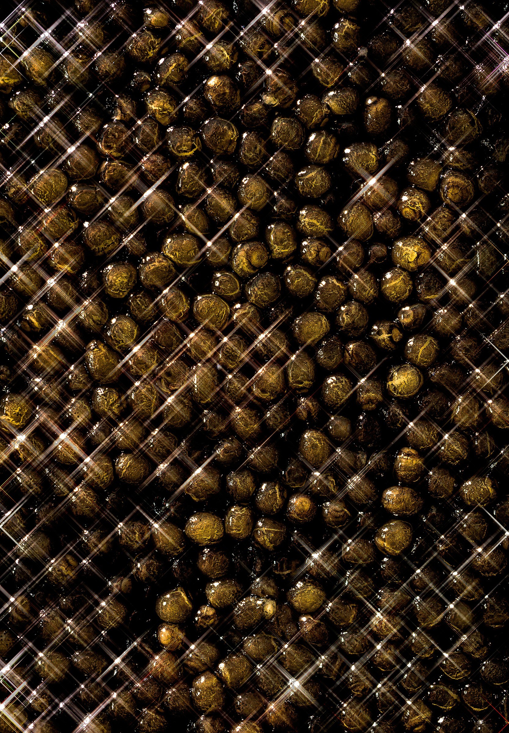 Caviar — Prop Stylist project image 3