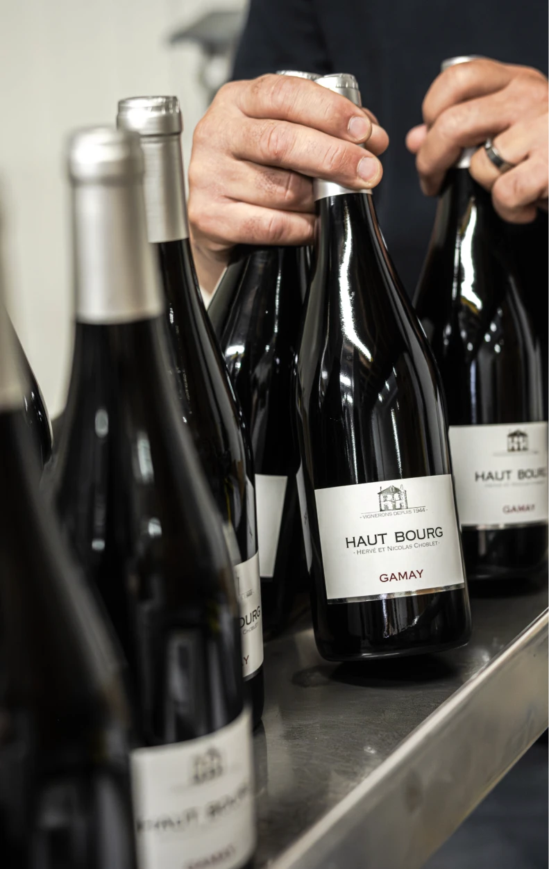 Bottles of Haut Bourg Gamay