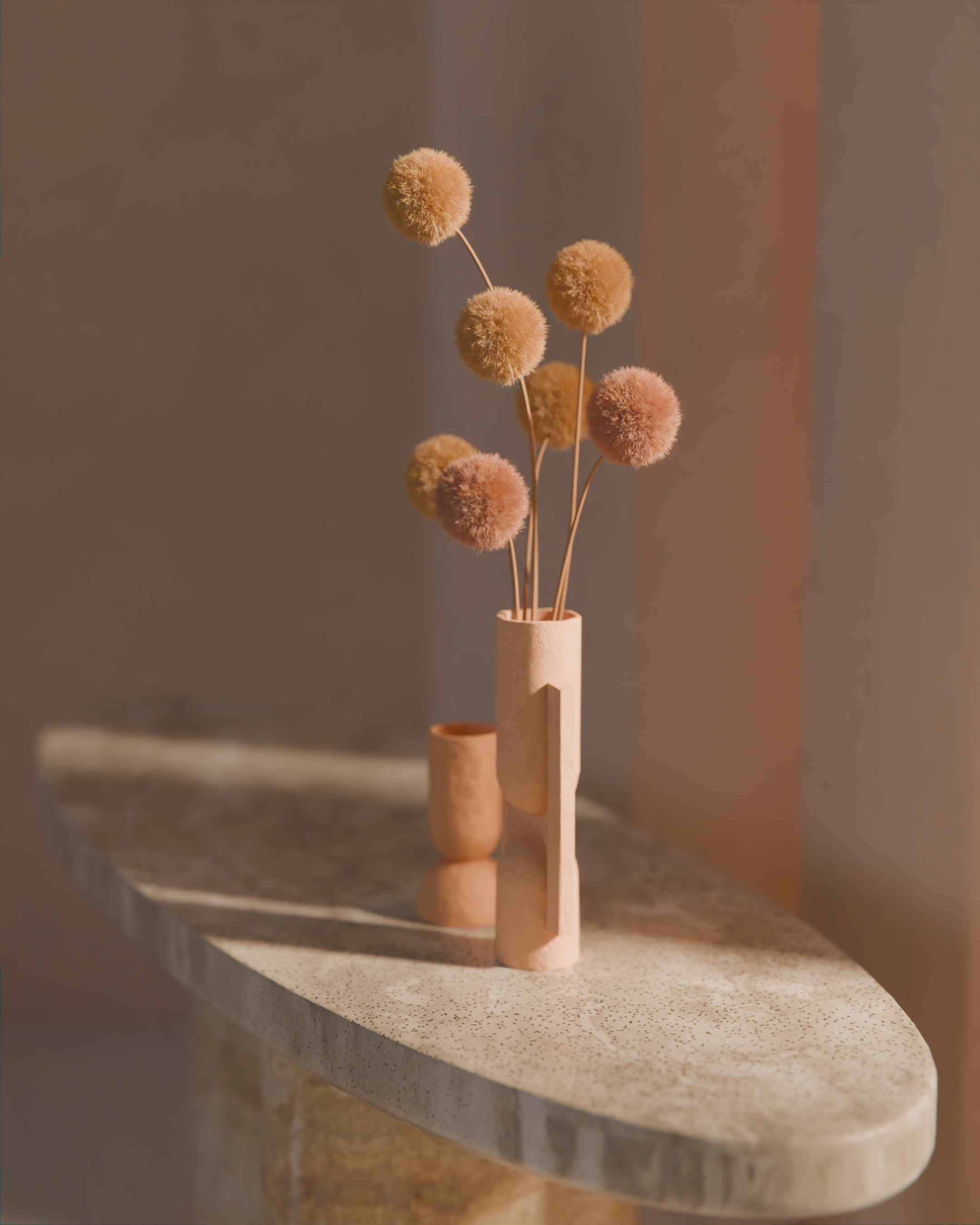 Plant on a table with beautifull sunlight