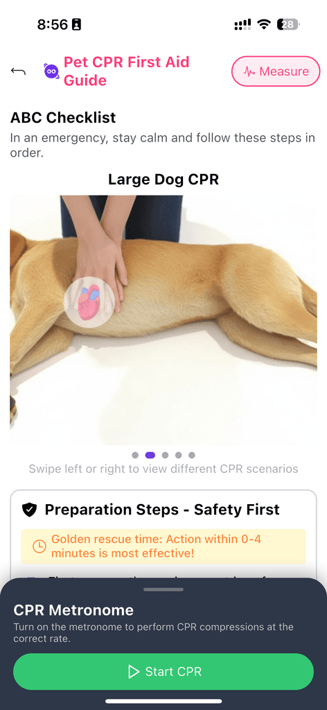 Boo AI CPR and first aid guidance