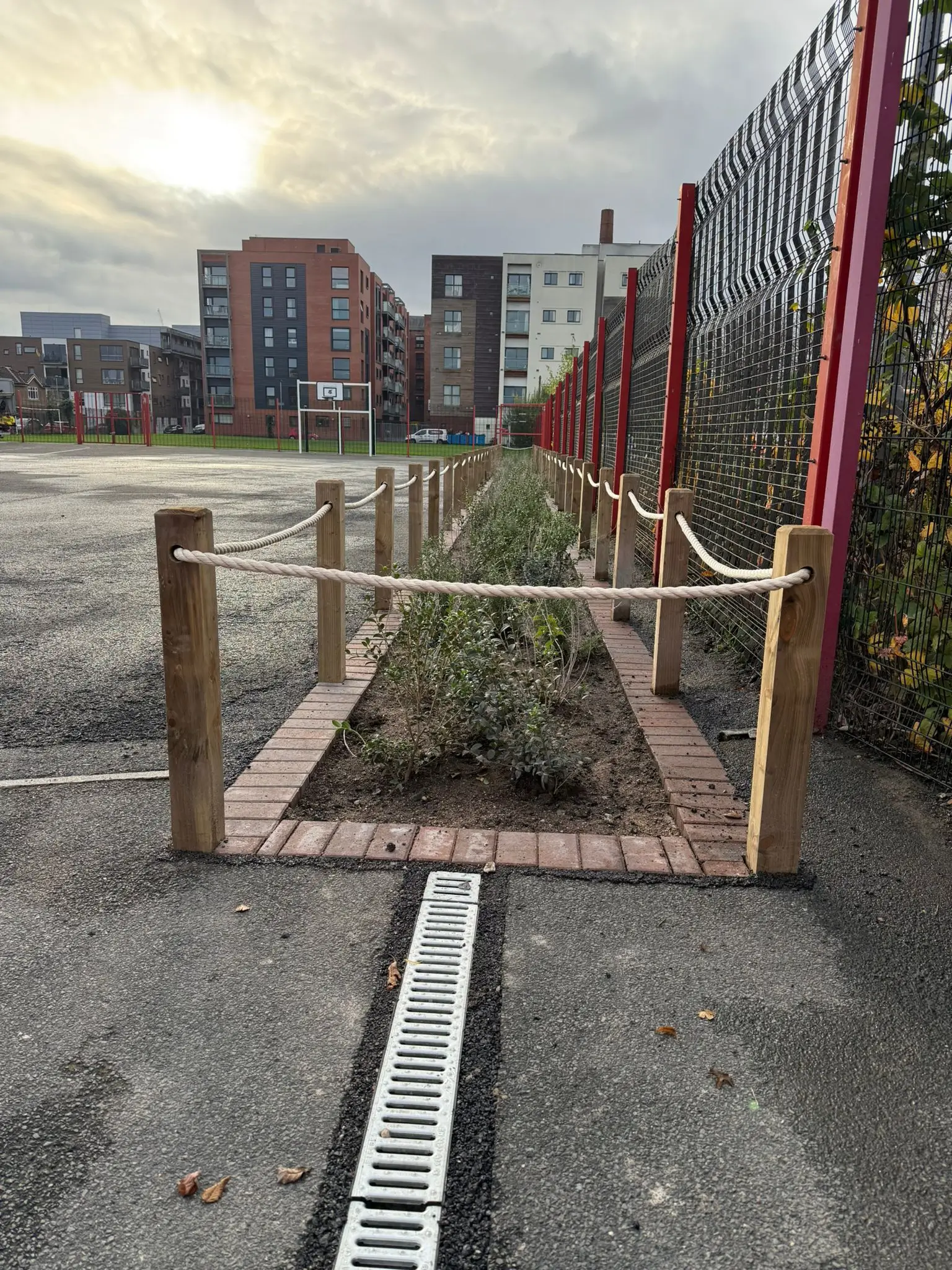 A wooden frame supports a row of potted plants, set on a pavement with a cloudy sky in the background.