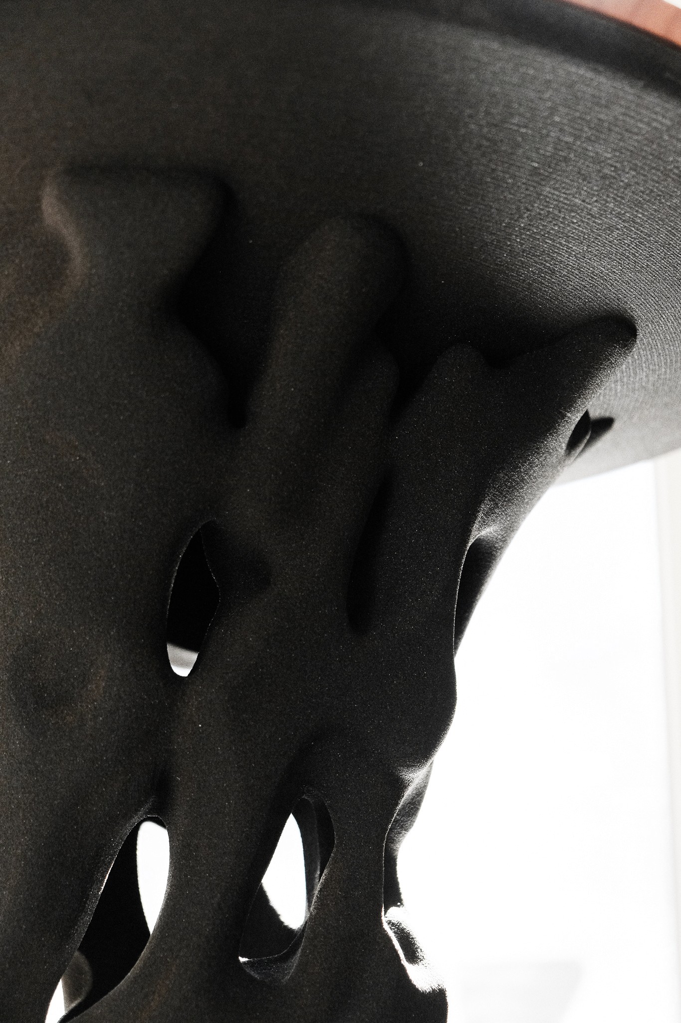 Here comes the alt text