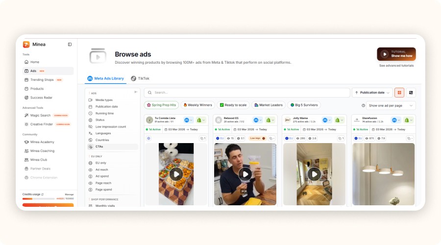interface AdSpy de Minea