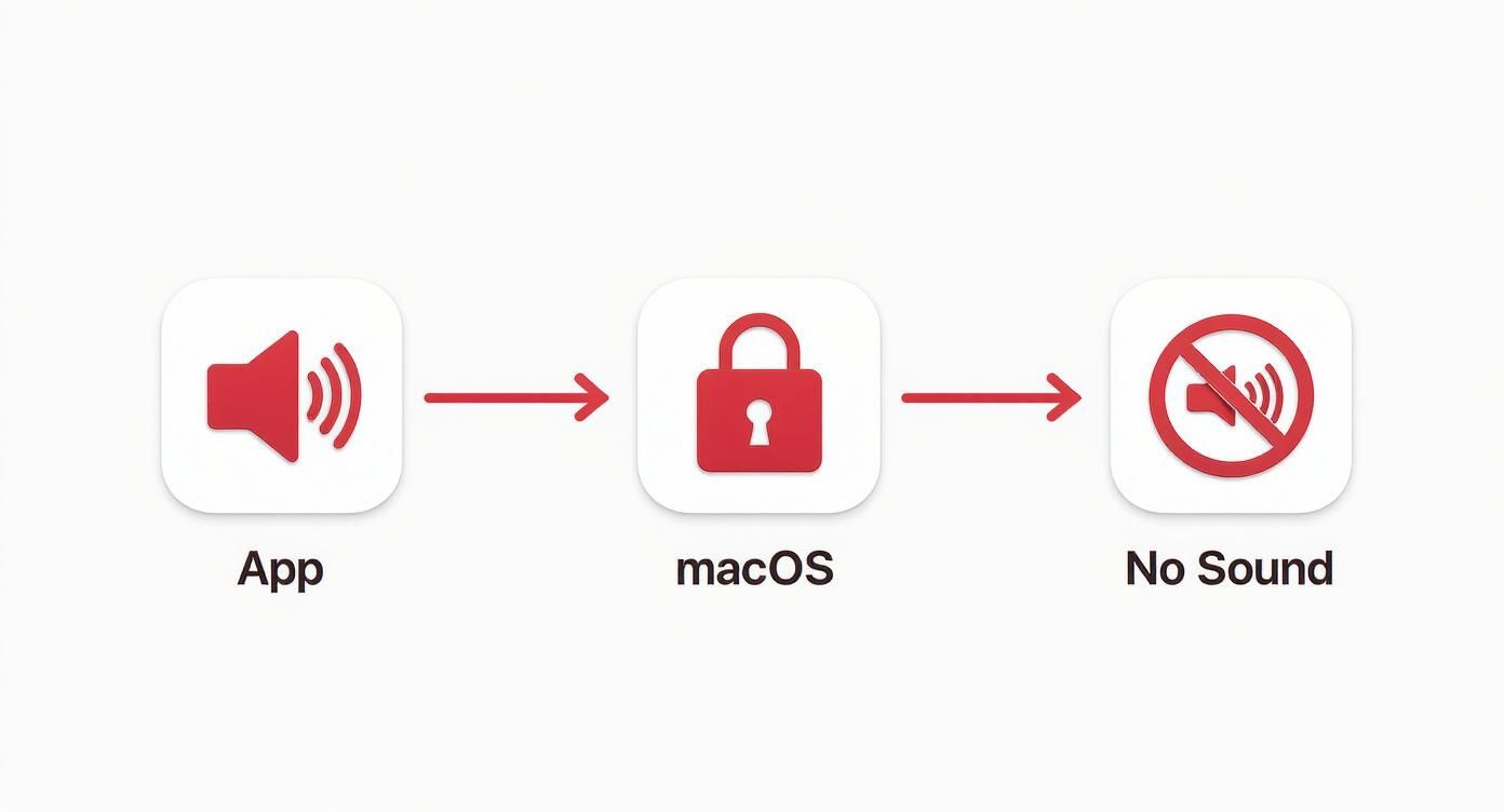 Diagram showing macOS security blocking app from capturing computer audio output