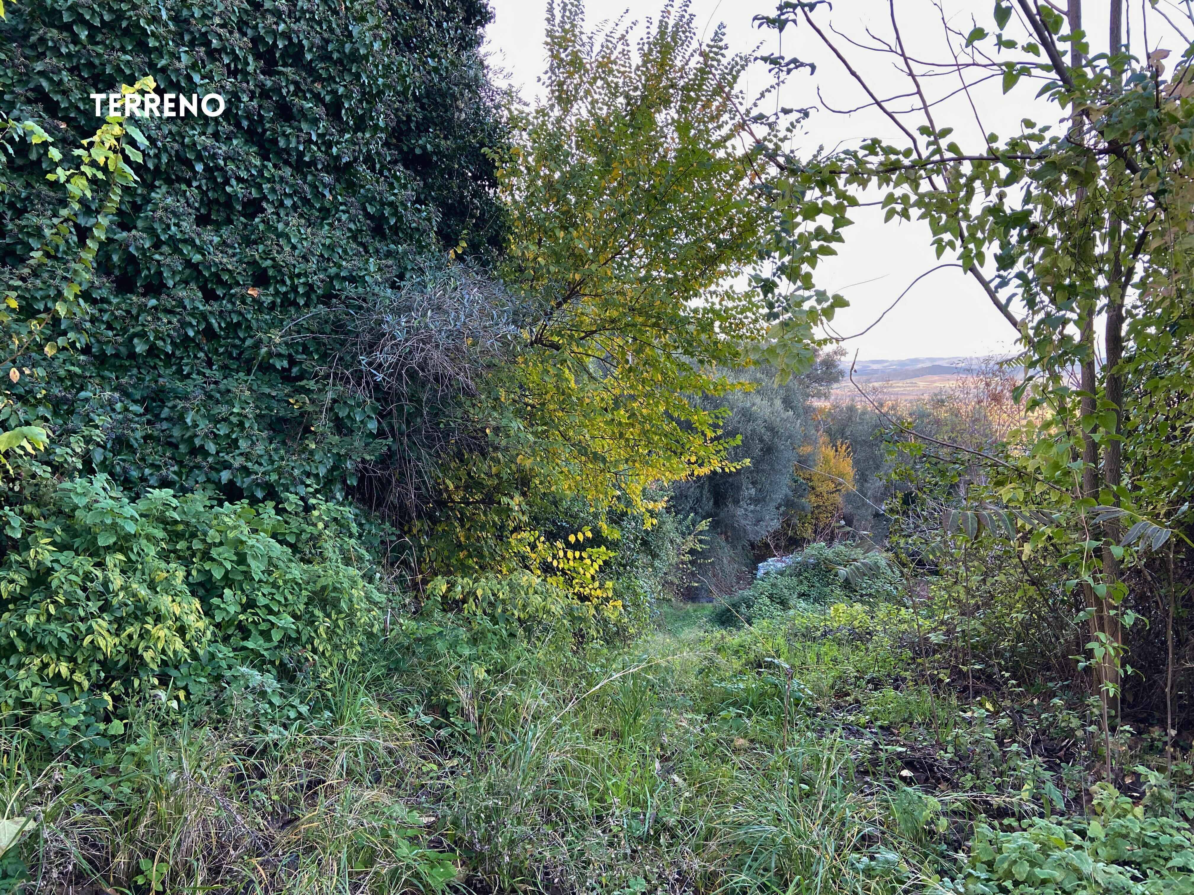 Casale Vista Provenza, Roccatederighi, Maremma Toscana