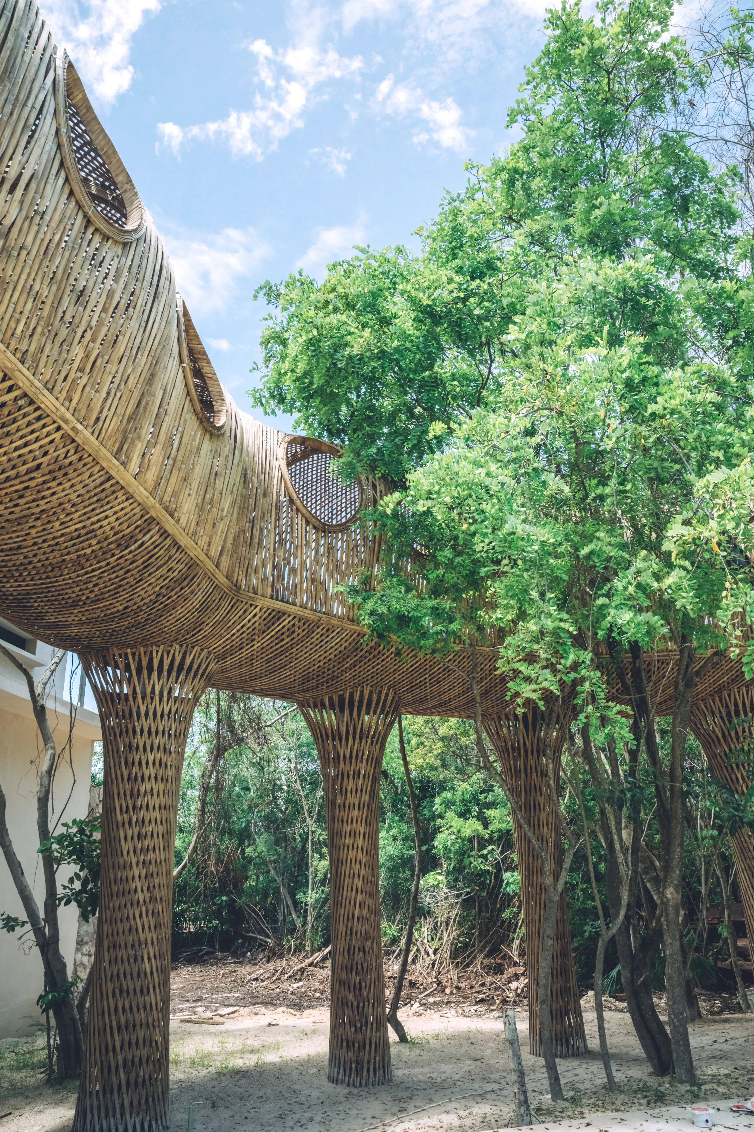 Vertical view of the Cervecería Tulum structure, emphasizing the four-meter tall woven bamboo and Zapote columns that support the floating tunnel above the jungle floor.