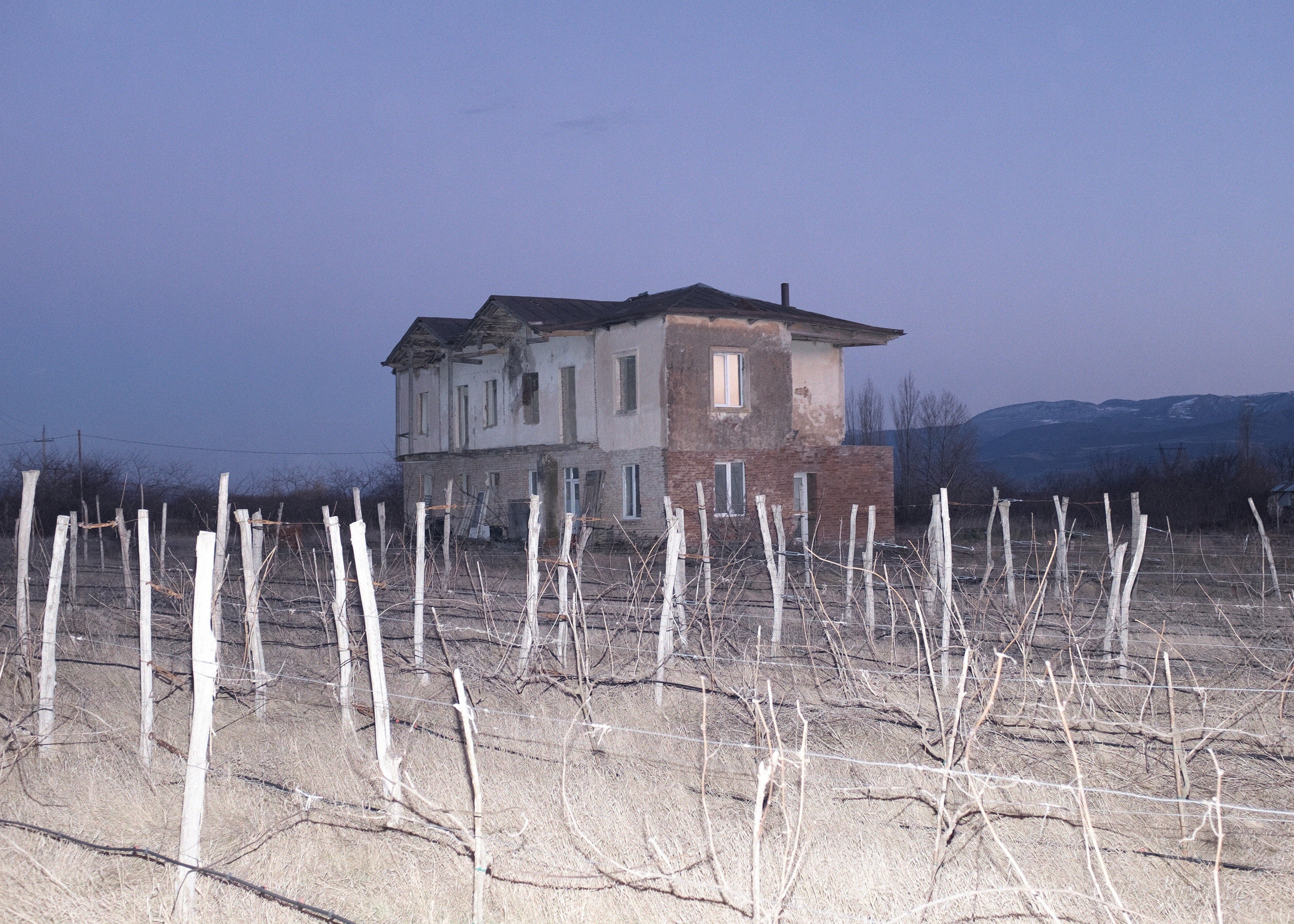 Abandoned two-story house with a crumbling roof, standing behind a vineyard of bare grapevines at dusk. The surrounding landscape is quiet and desolate, with mountains in the background
