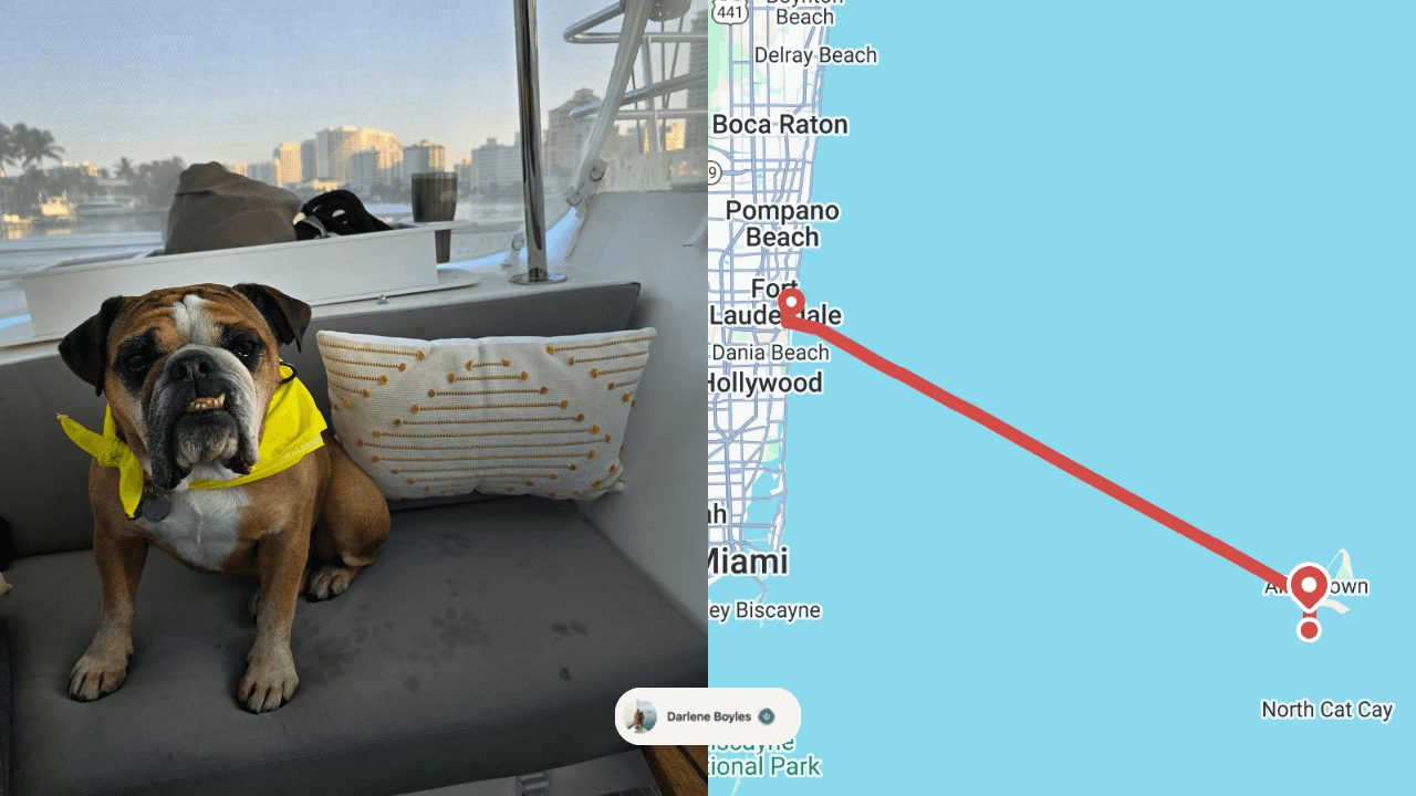 Dog on a boat, crossing from Florida to the Bimini