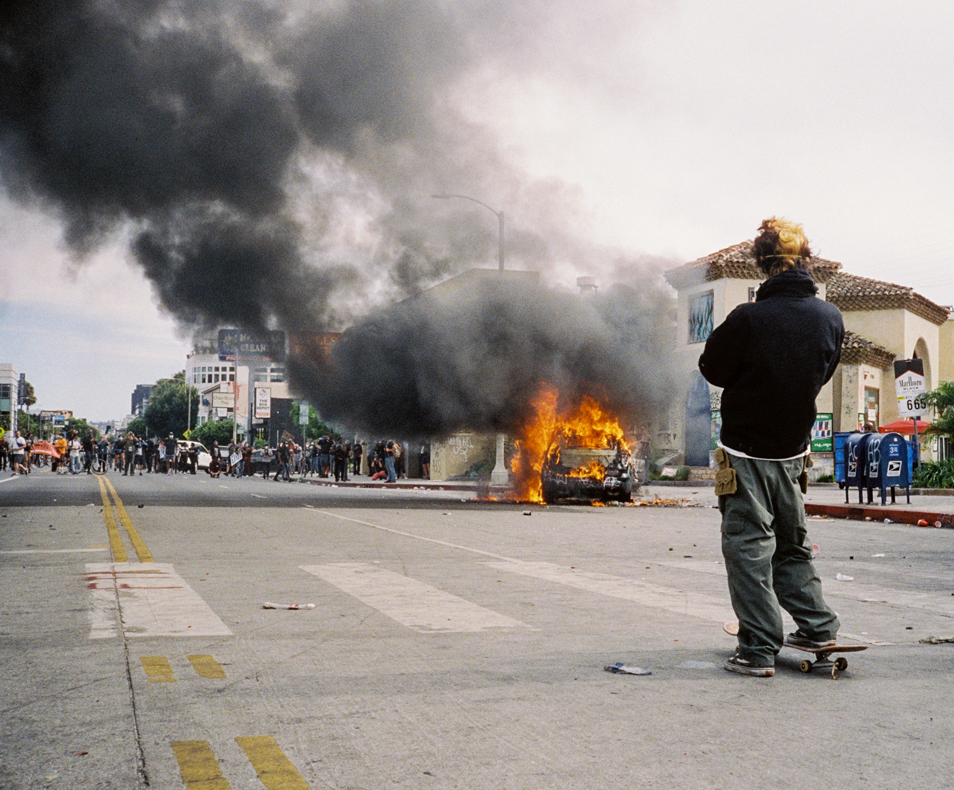 Person, holding a white rose behind his back with one arm on a light blue background