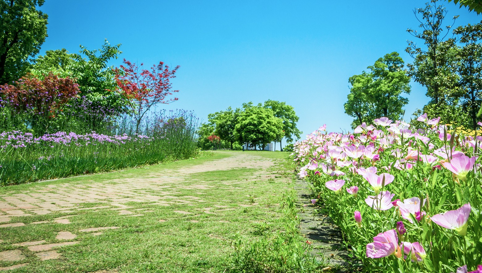 flower-park