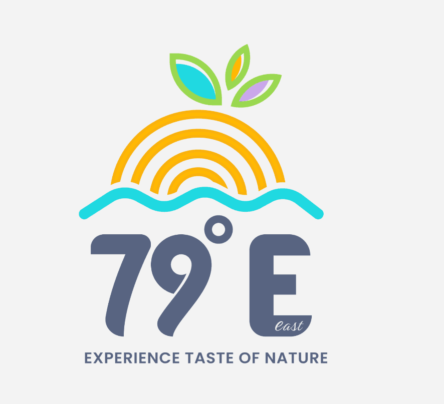 Brand identity design for 79 Degrees E food brand — Penguincil Design