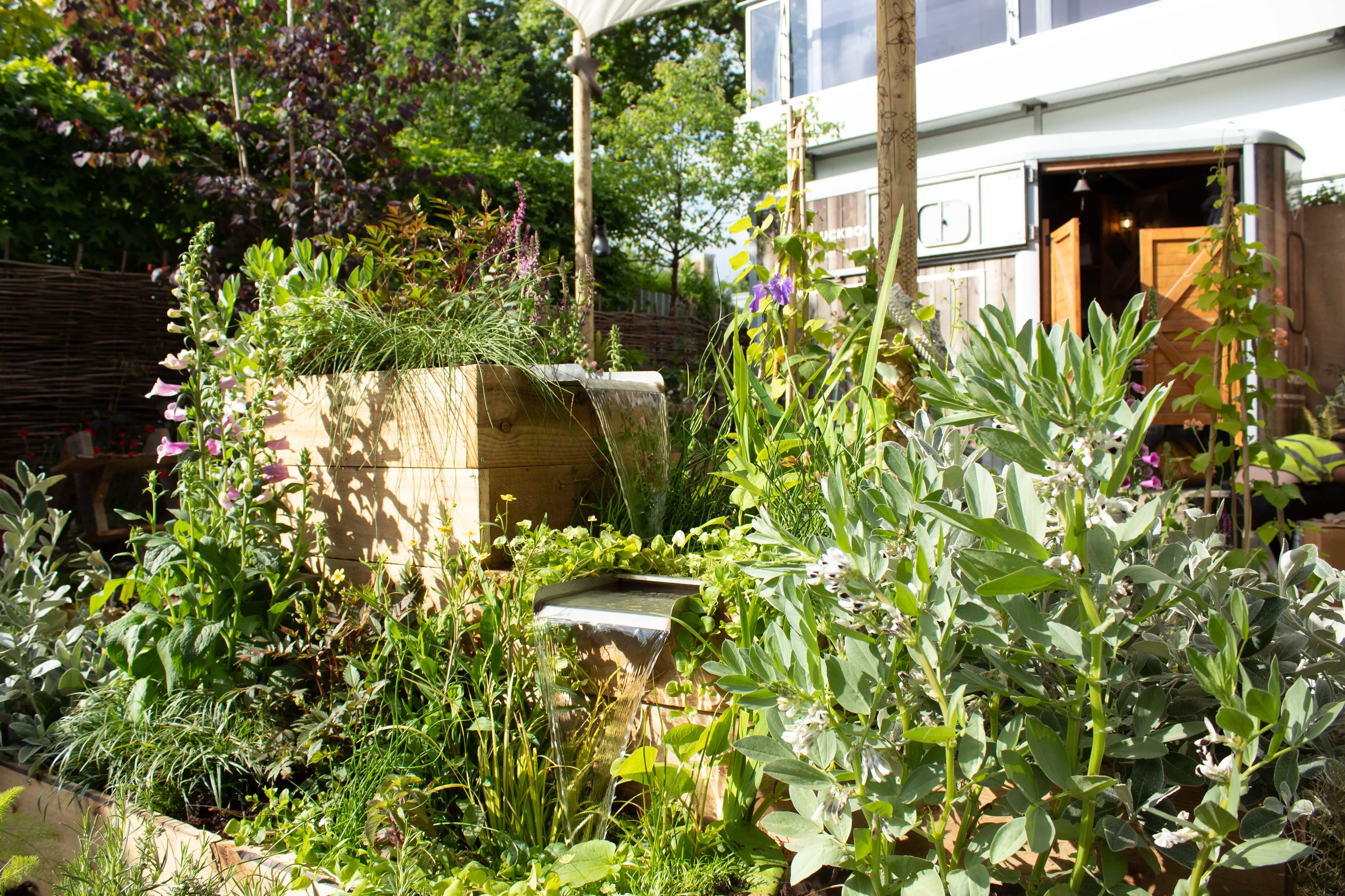 A lush garden with various plants, flowers, and a wooden structure in the background under bright sunlight.