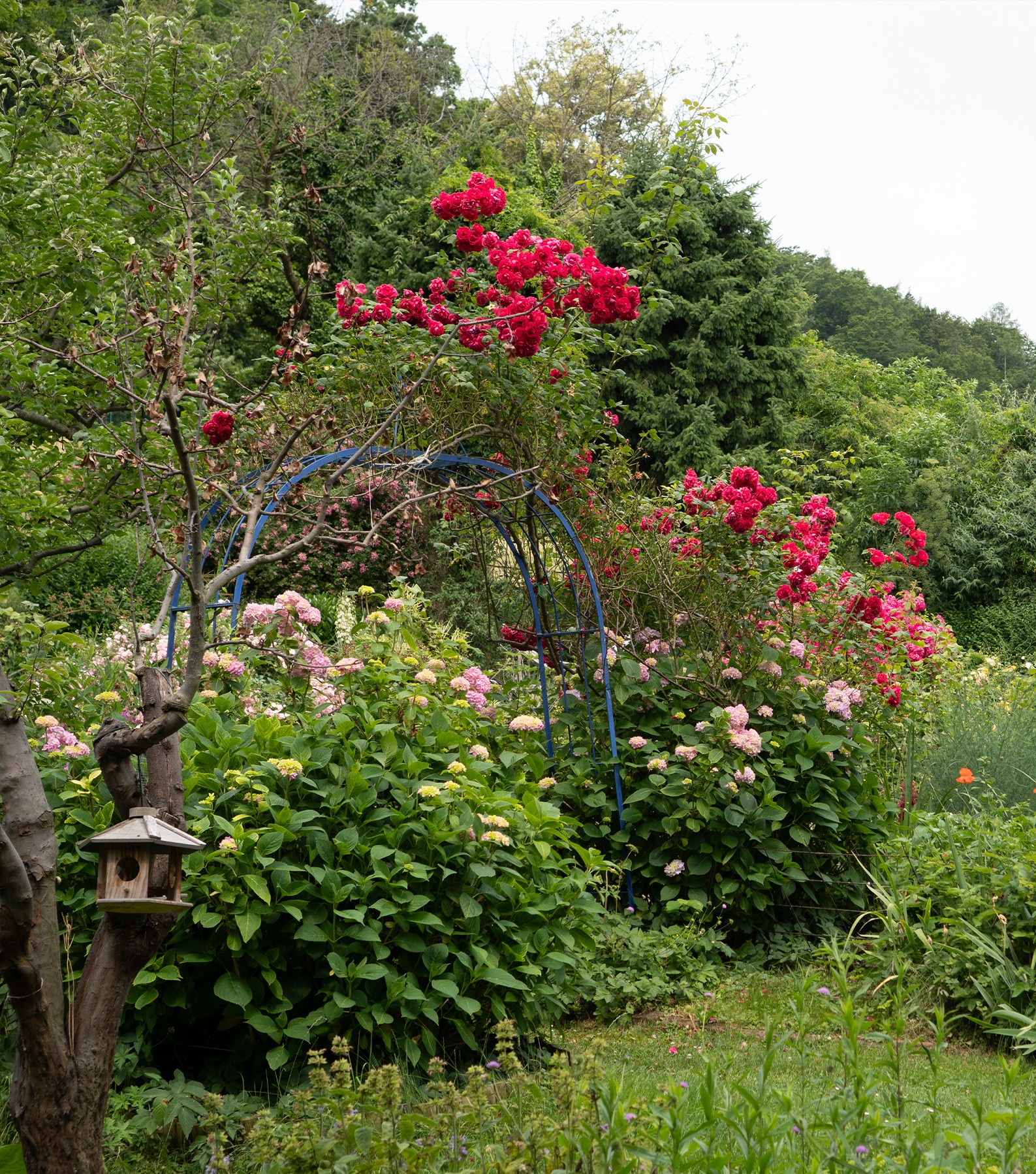 Garten & Natur
