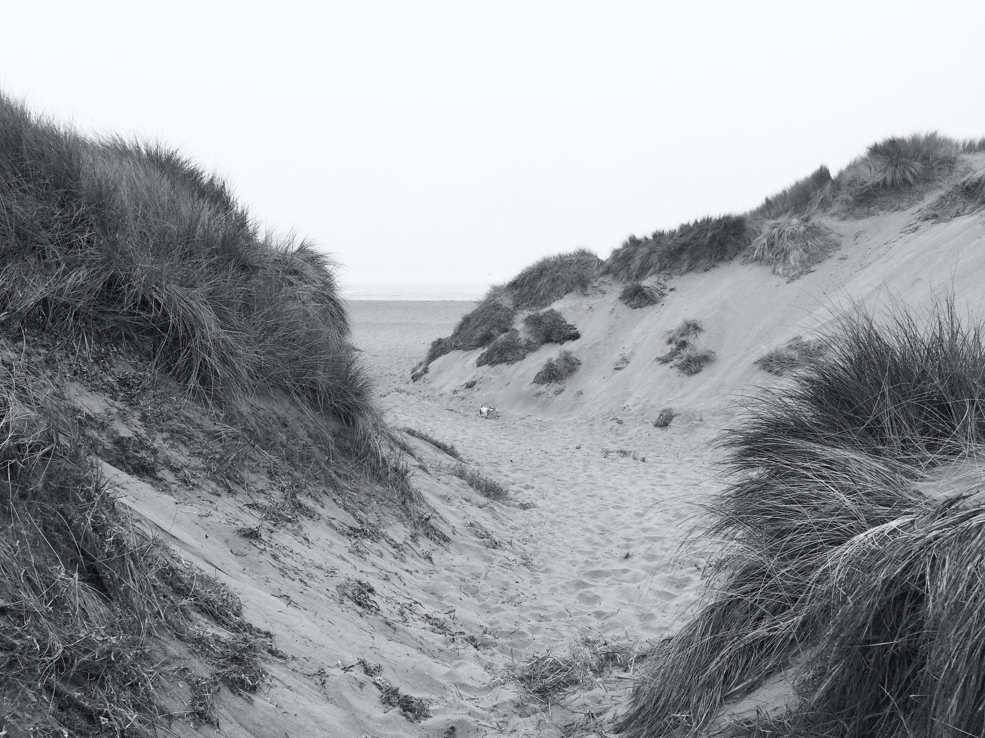 Uma duna de areia em preto e branco.