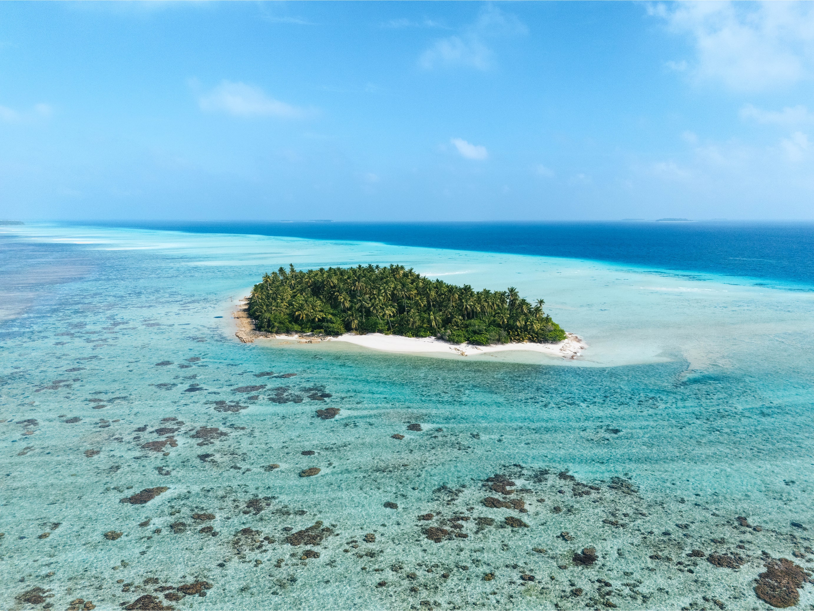 Island fishing in Maldives