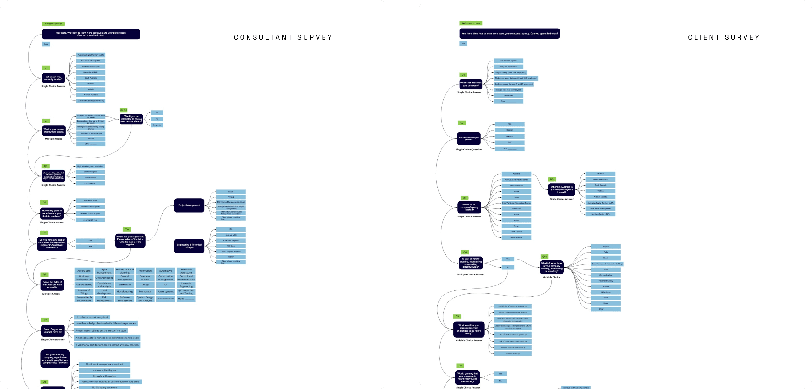 client-consultant-survey