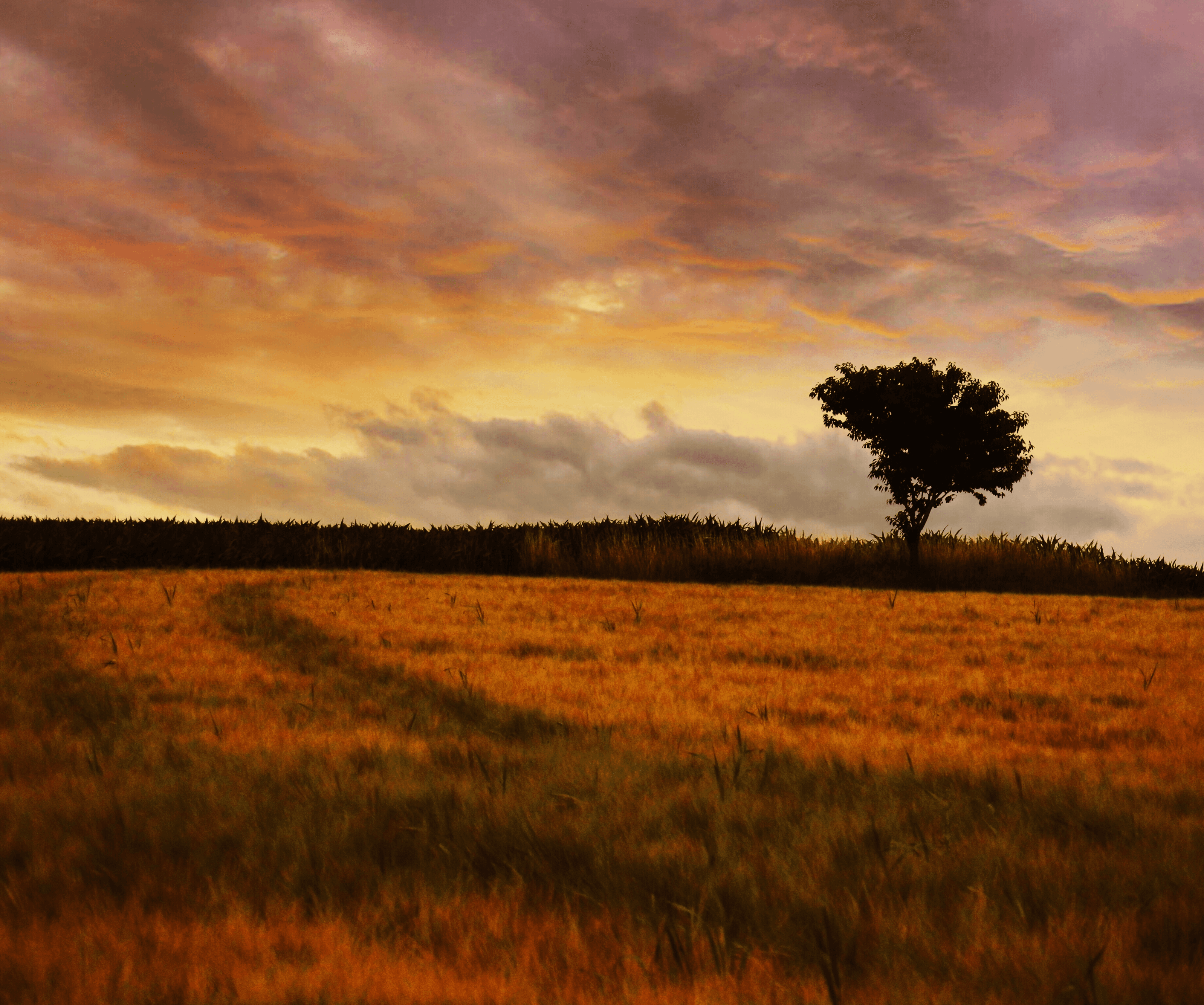 Bg Image