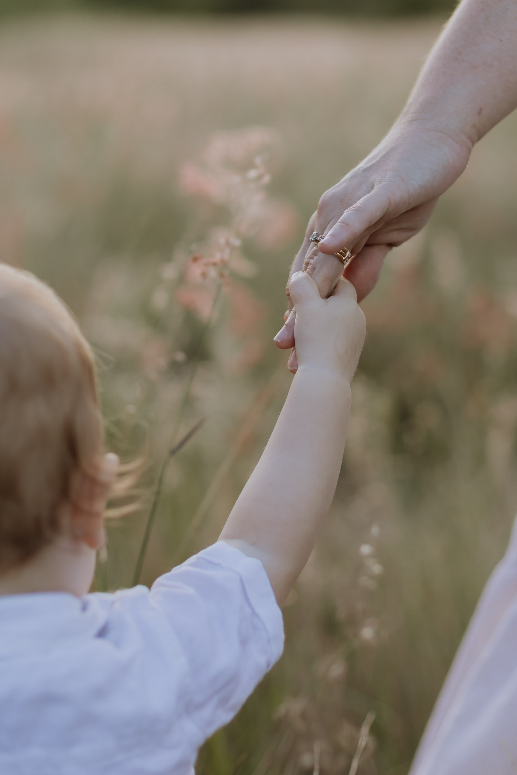 Mother holding child's hand while walking in long grass in Mackay outdoor family photography session