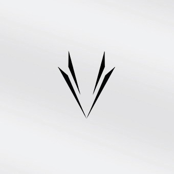 VaultX Logo