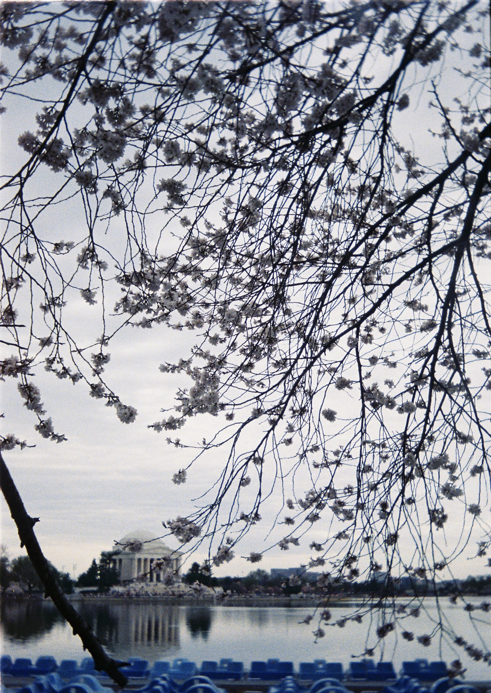 Gallery image 12
