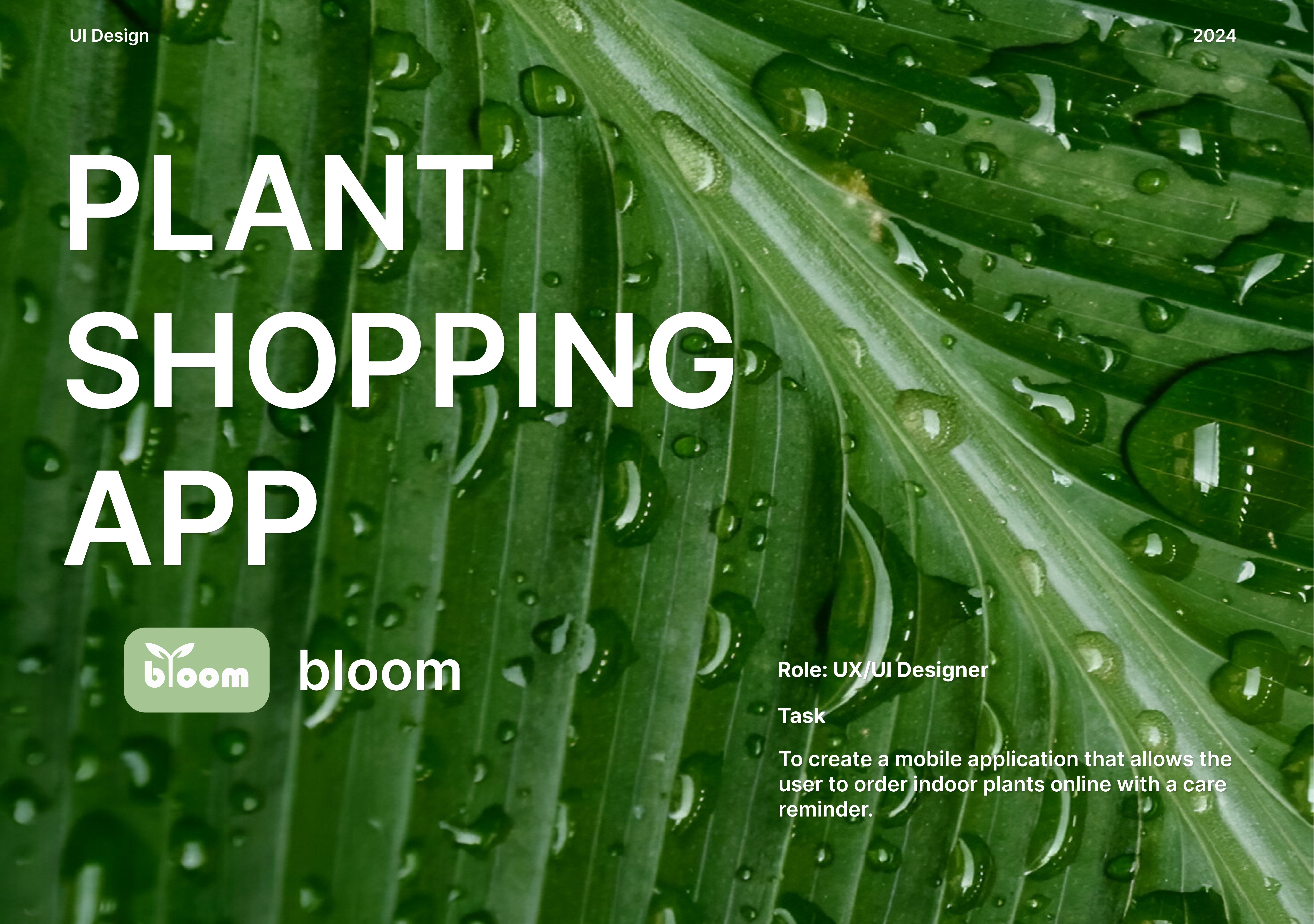 Plywood Artist Potrtfolio made in Framer