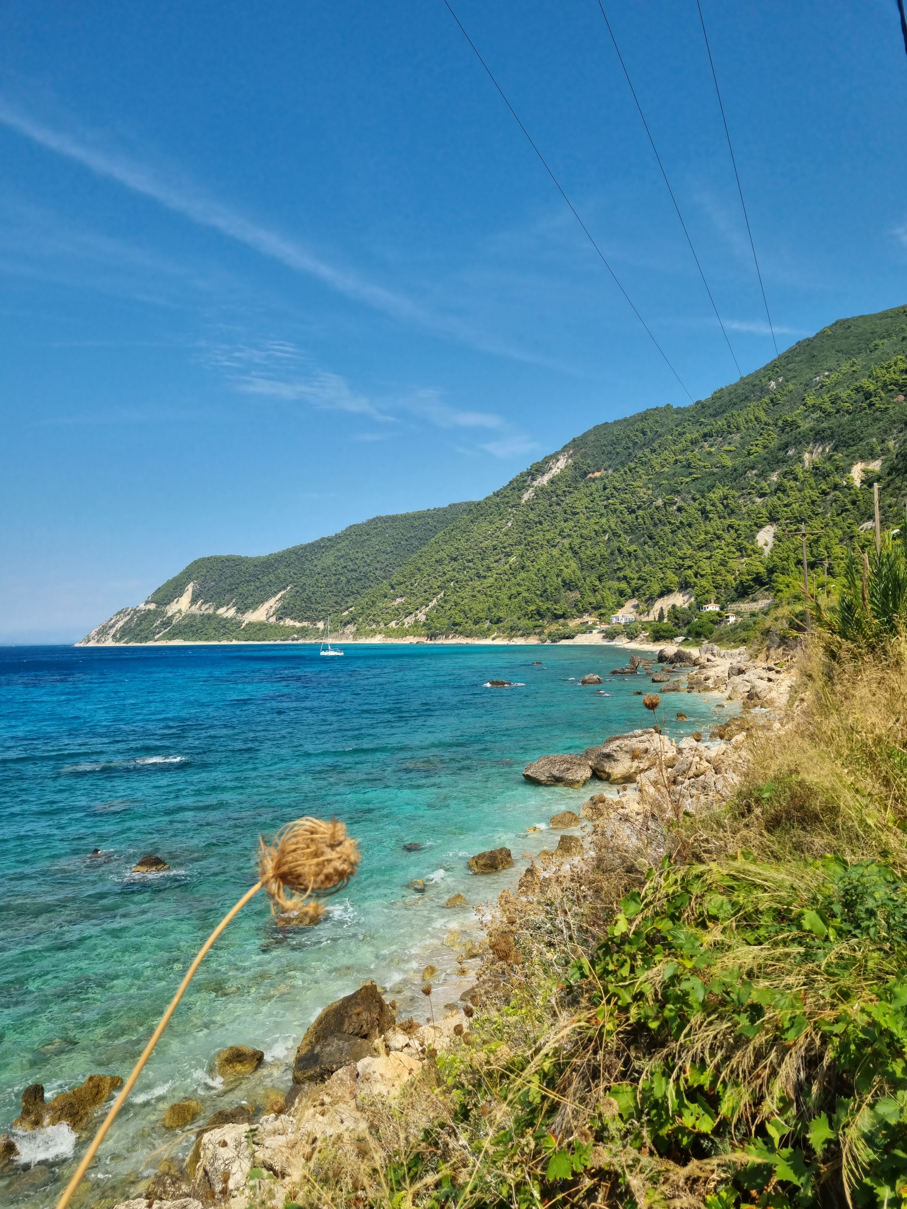 Work-Life Balance Couching