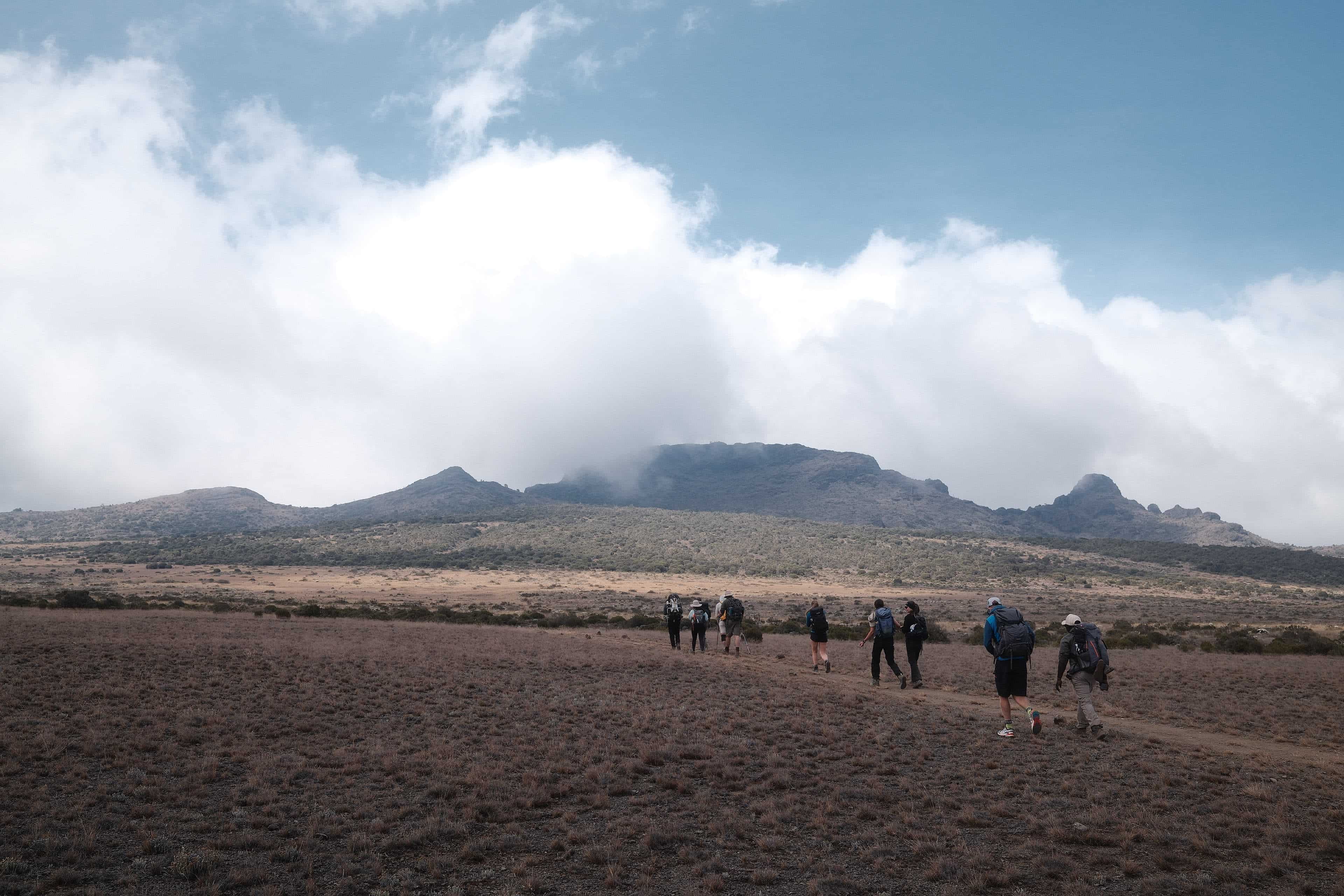 The Shira Plateau on the Lemosho route, the recommended 8-day route for beginner Kilimanjaro climbers.