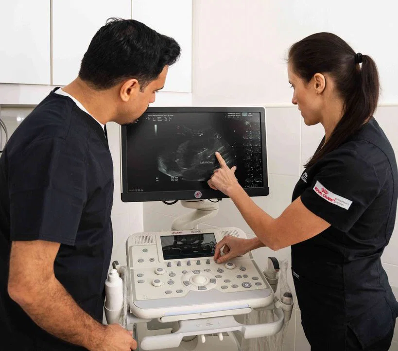 Two emergency vets in Dubai are reviewing ultrasound results during critical care treatment.
