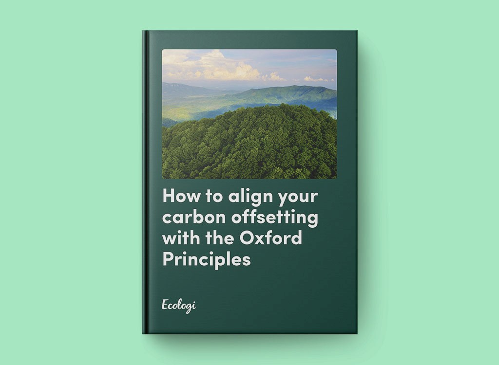 Oxford principles