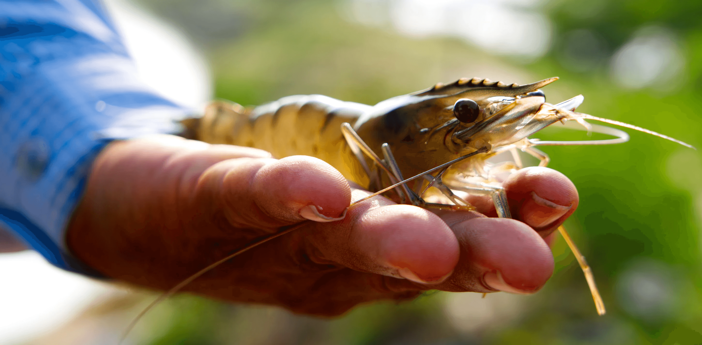 A young person with curly hair smiles at the camera while sitting in front of a laptop against a dark background.
