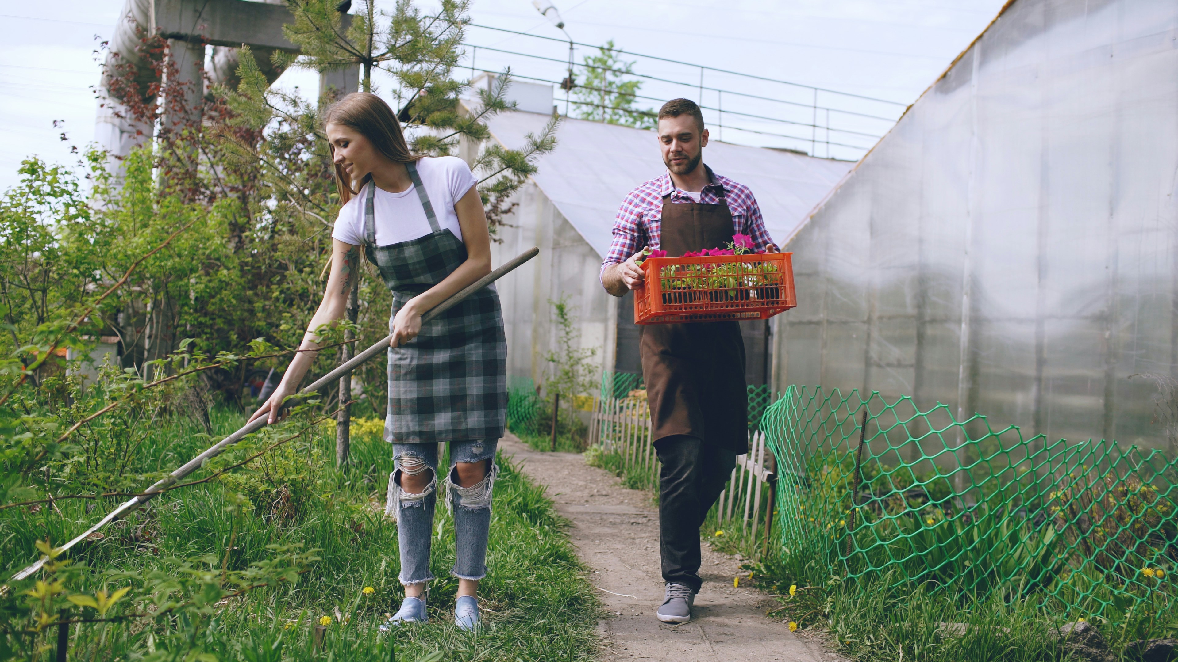 Couple tending to plants outside greenhouses