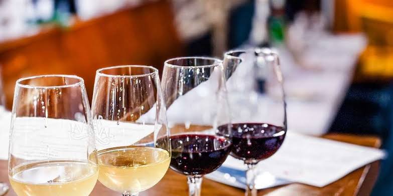 Dégustation d'un vins blanc de façon sérieuse et méthodique