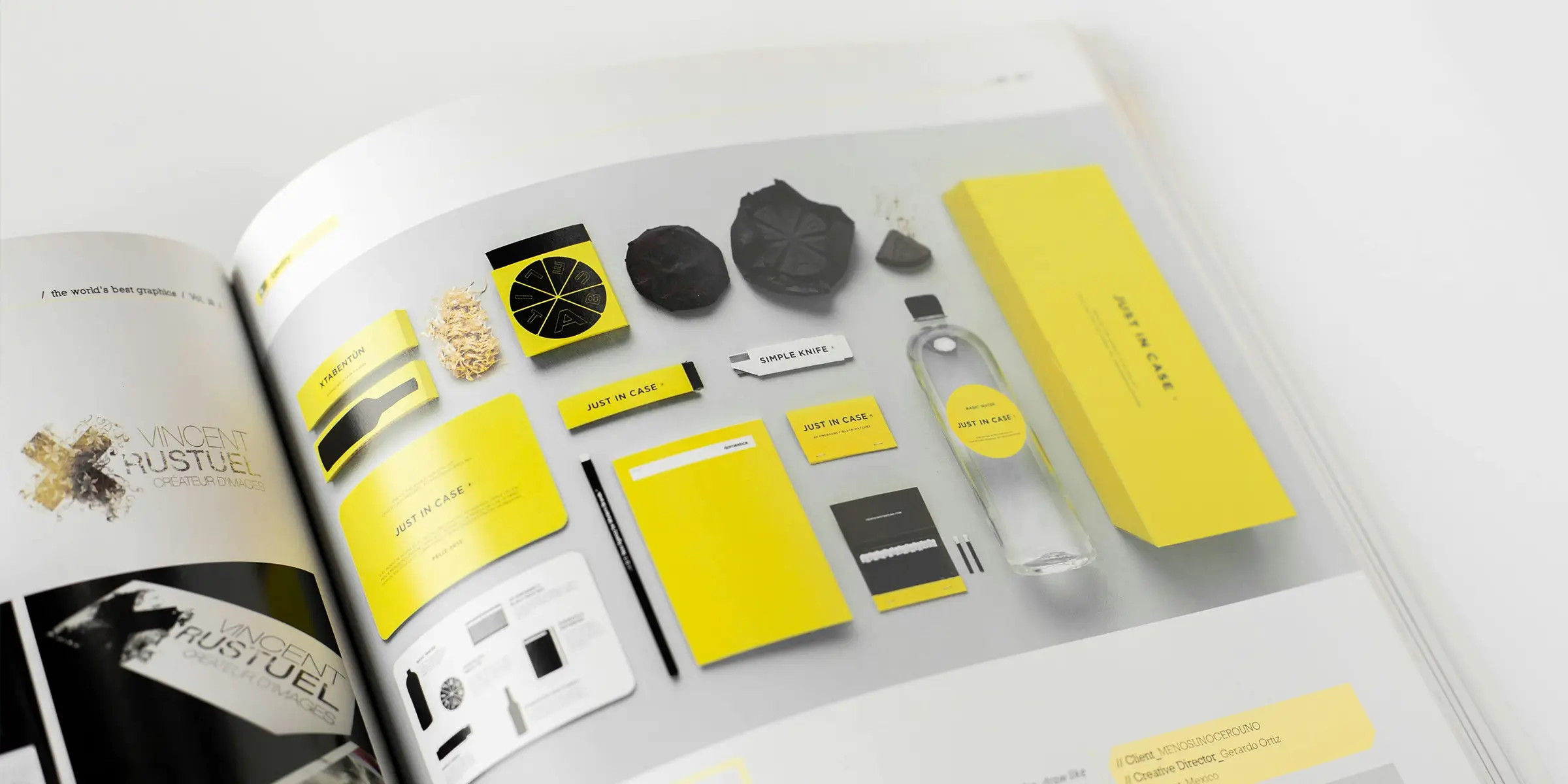 Image within a glossy magazine of a set of coherent brand components