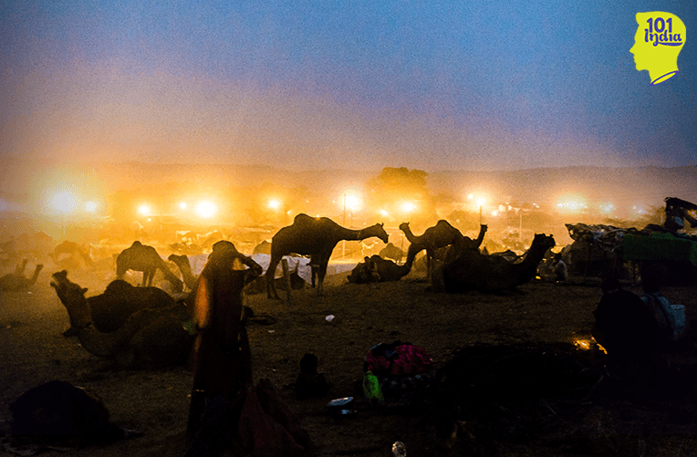 Camel herders settle down after a hard days work