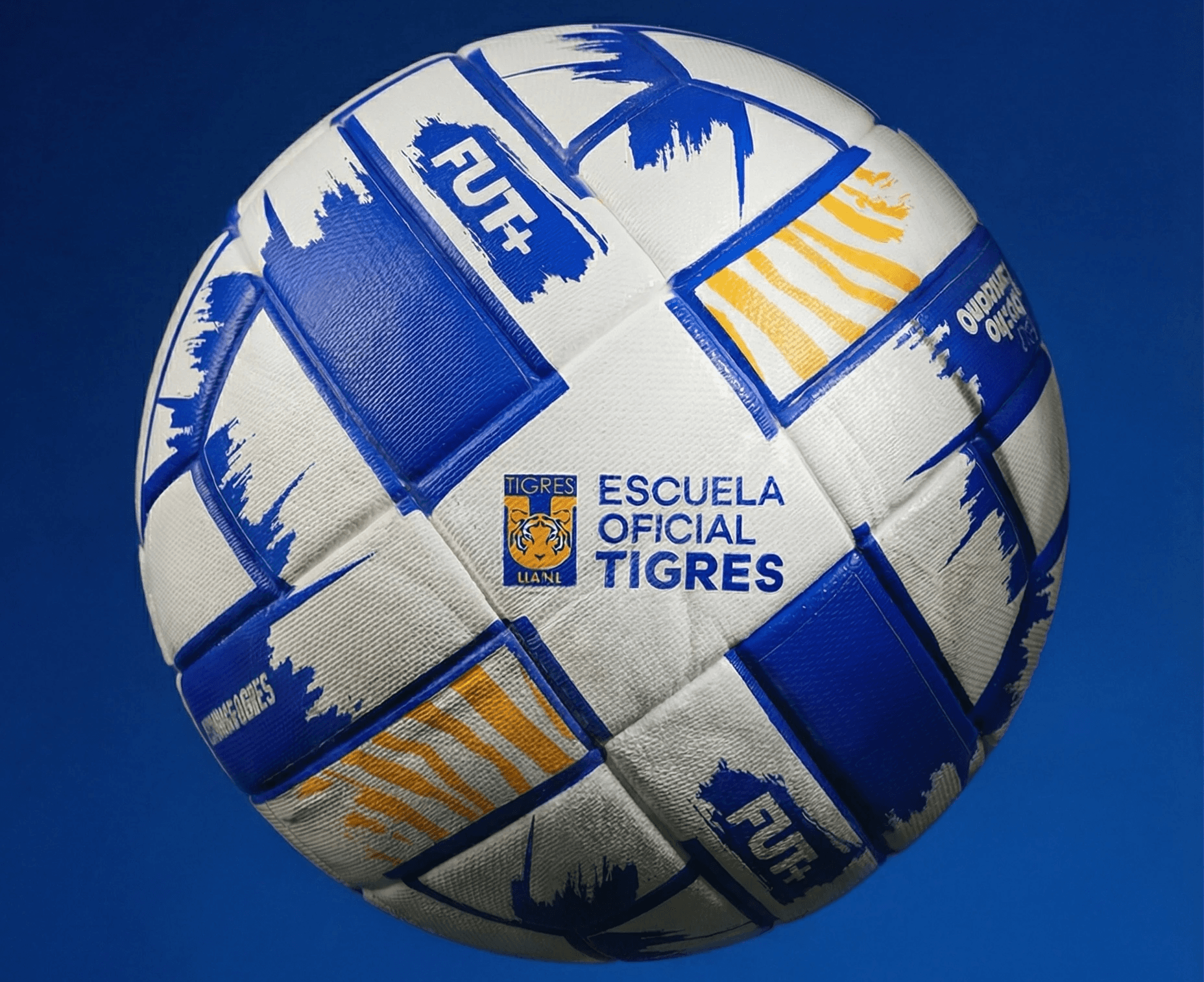 Escuela Tigres Oficial