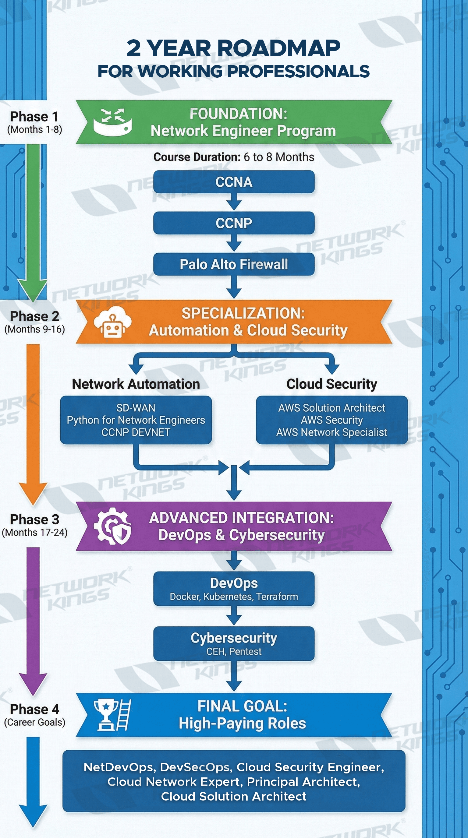 working professional roadmap
