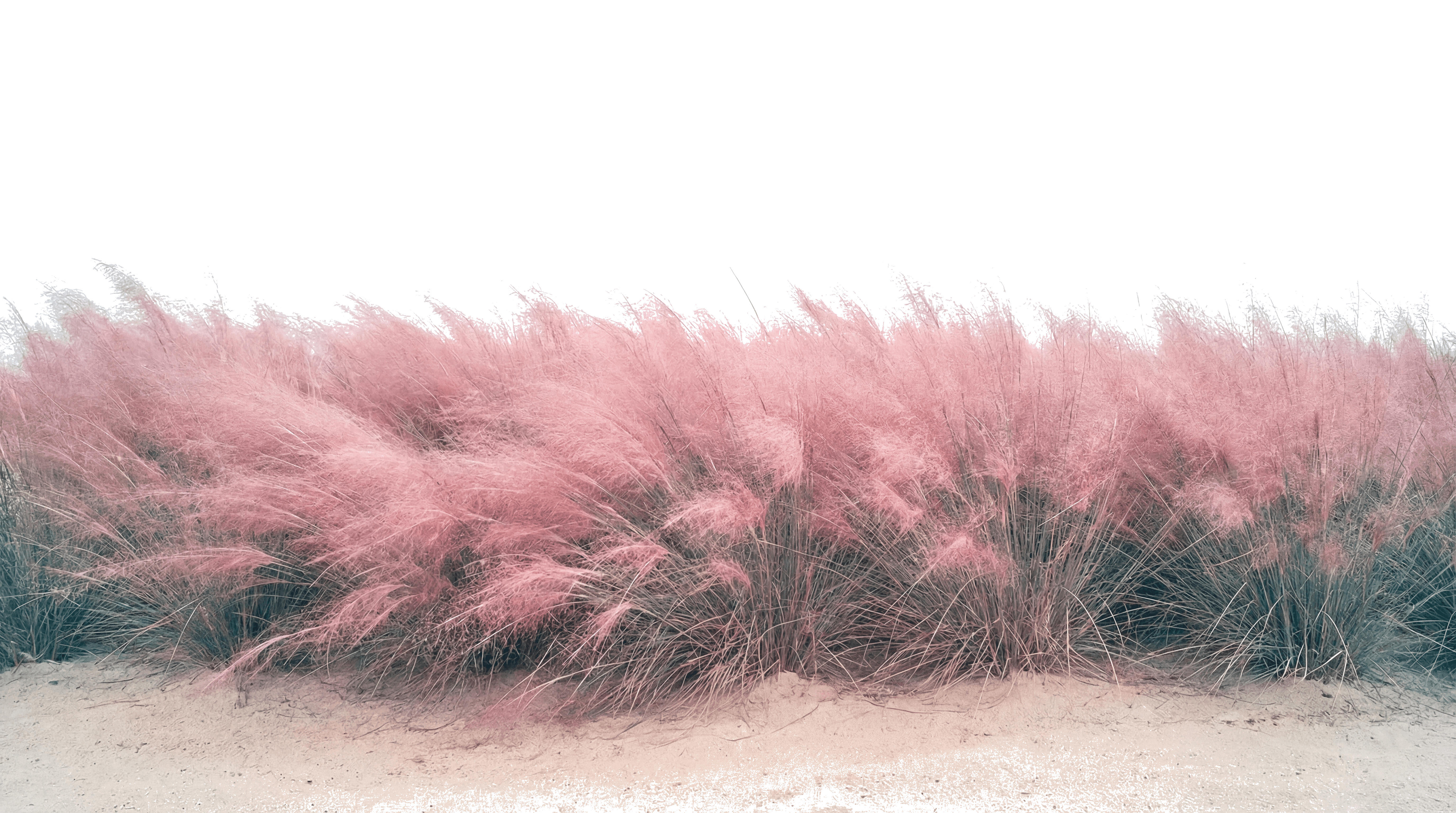 Image of a luxury home