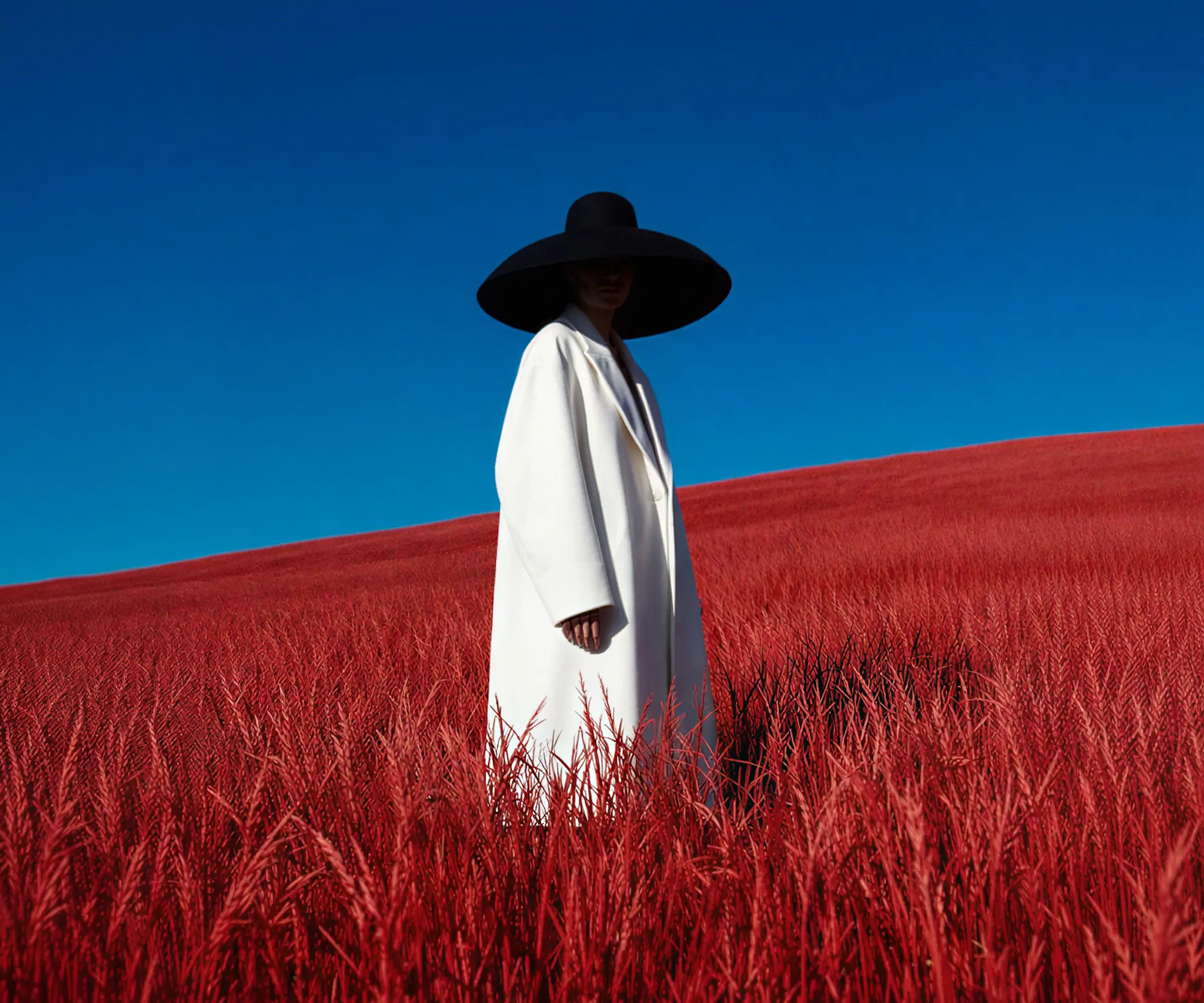 Mystic Red Field Scene