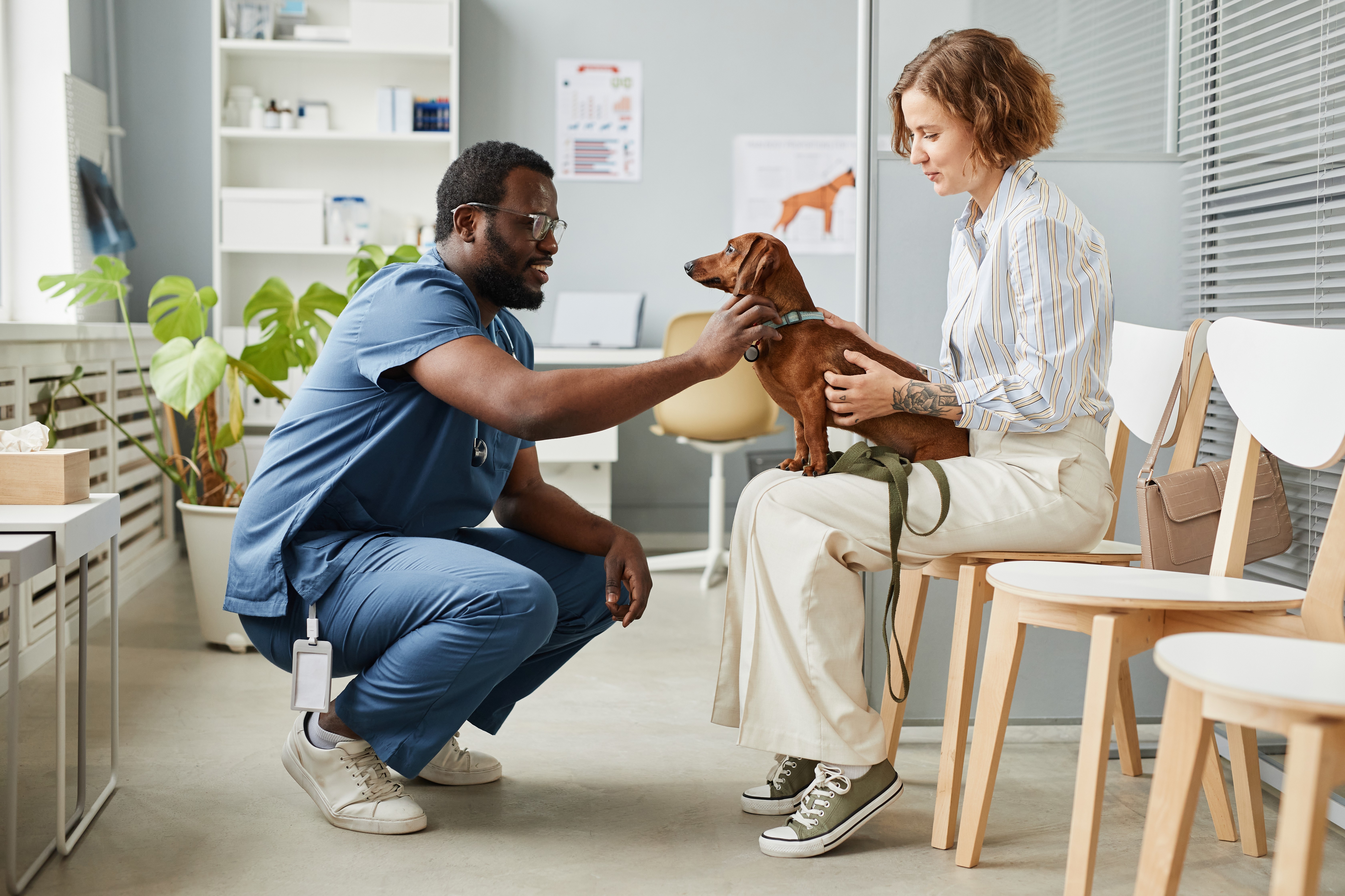 veterinarian squatting down to communicate with client and pet dog