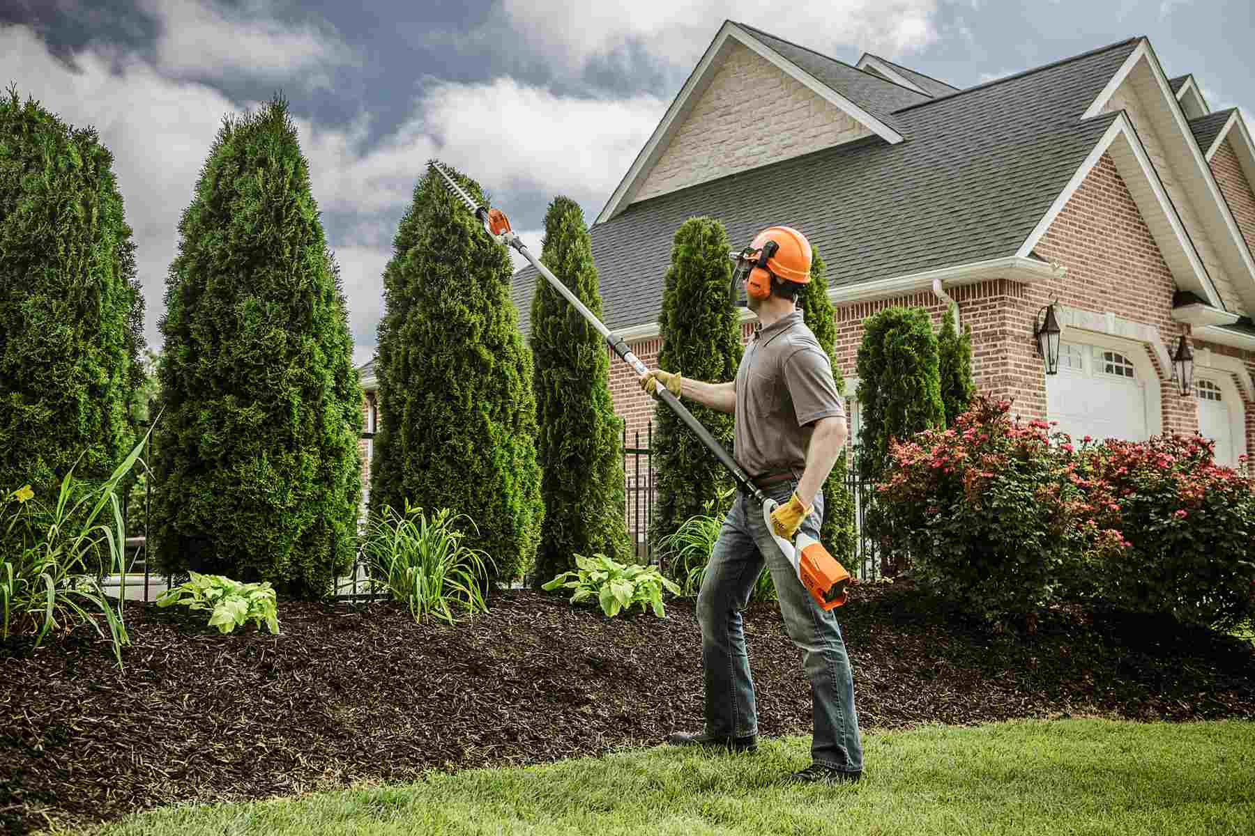 Tree Trimming & Pruning