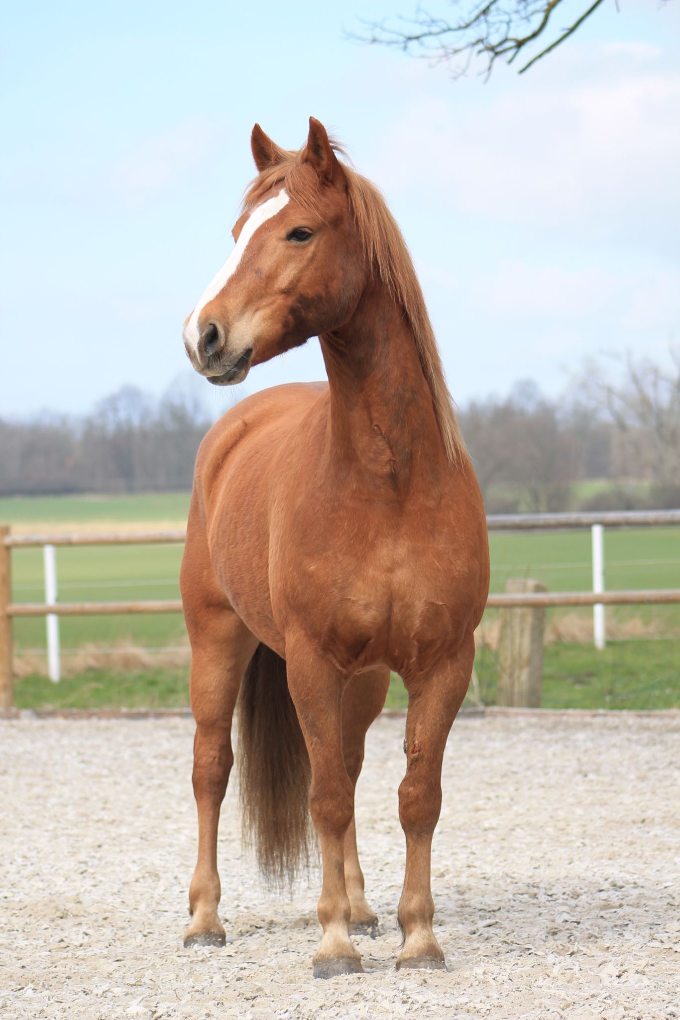woman taking photo while showing smile